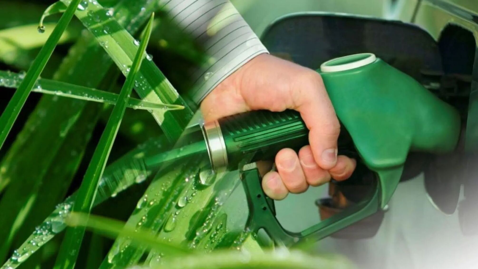 Горючее со спиртом: на заправках обязательно будут смешивать бензин с биоэтанолом