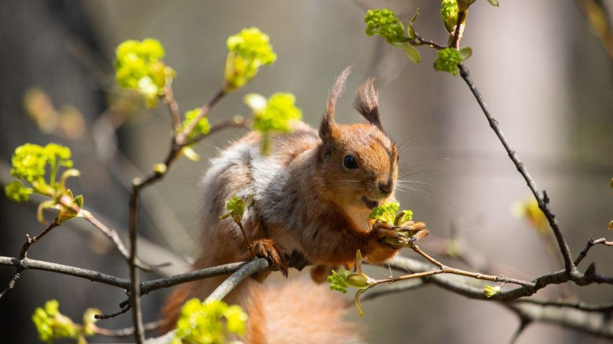 Погода на выходные: Украину накроет весеннее лето