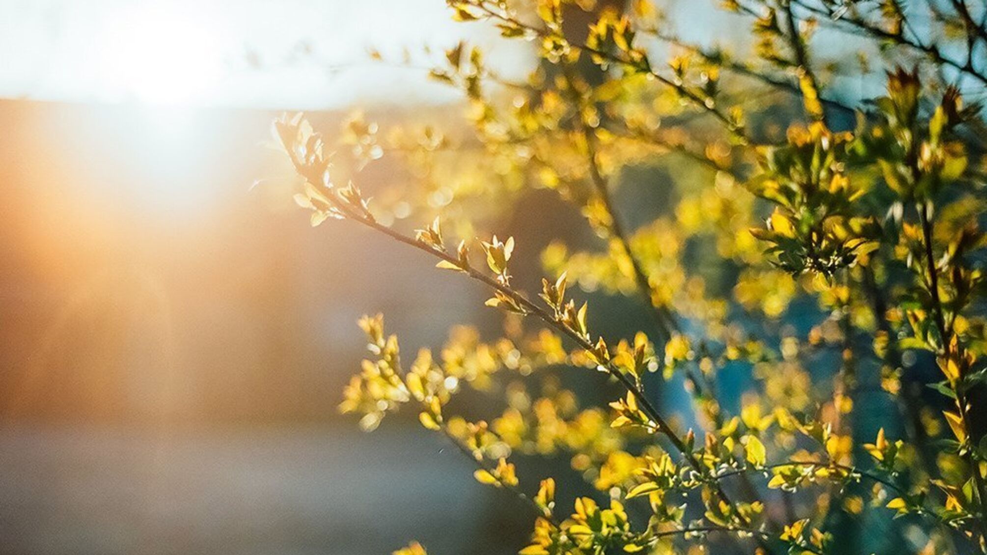 Україна знову одна з найтепліших у Європі