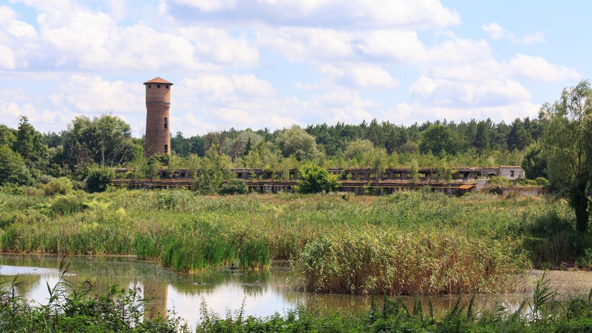 Історія радгоспу 'Рибне'