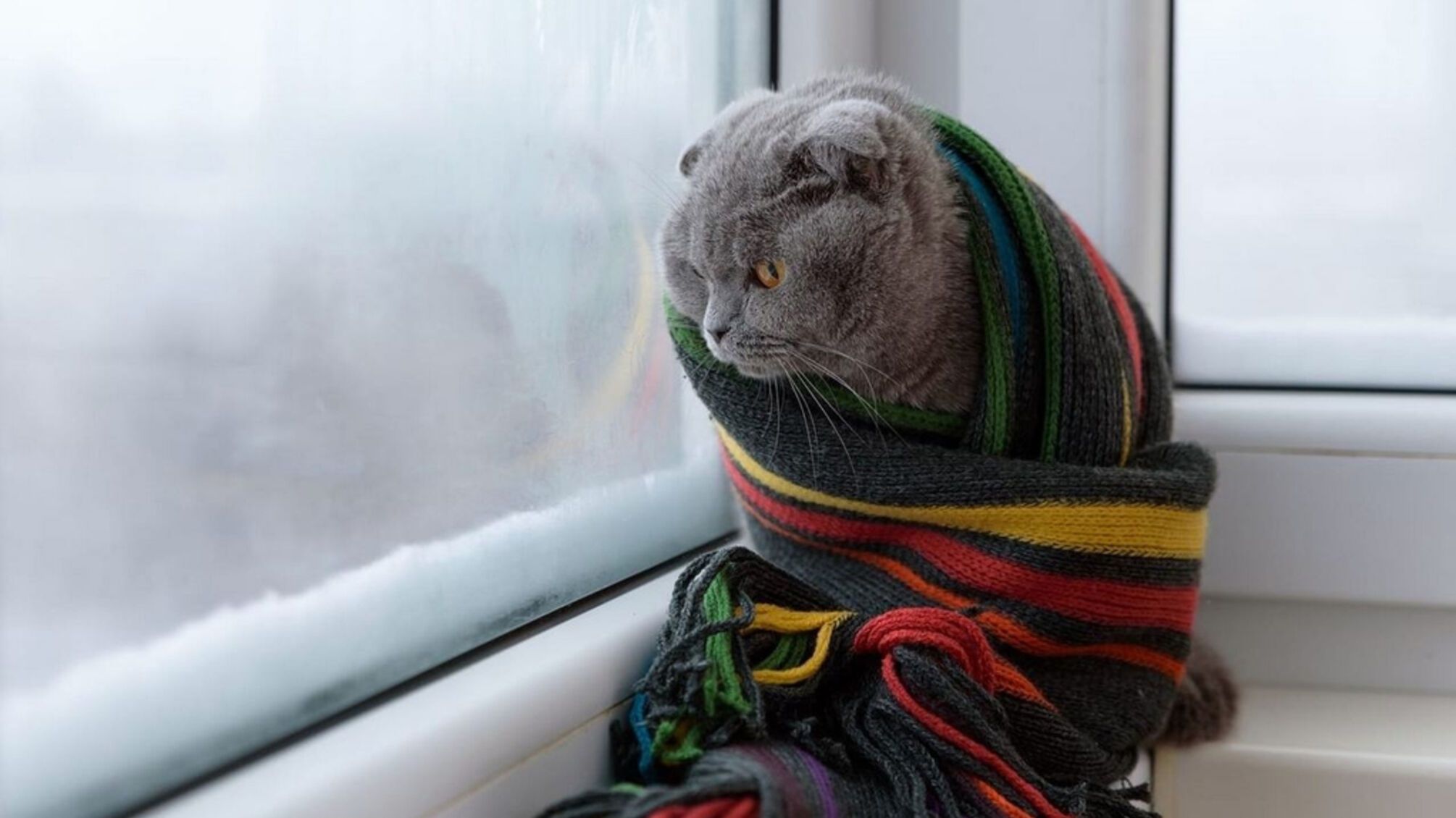 Синоптики предупредили о резком похолодании