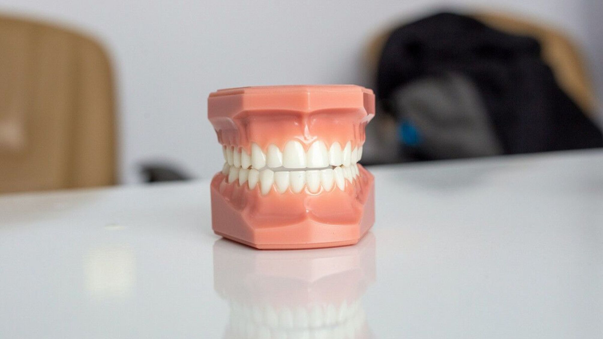 Революция в стоматологии: ученые научились выращивать человеческие зубы в челюстях свиньи