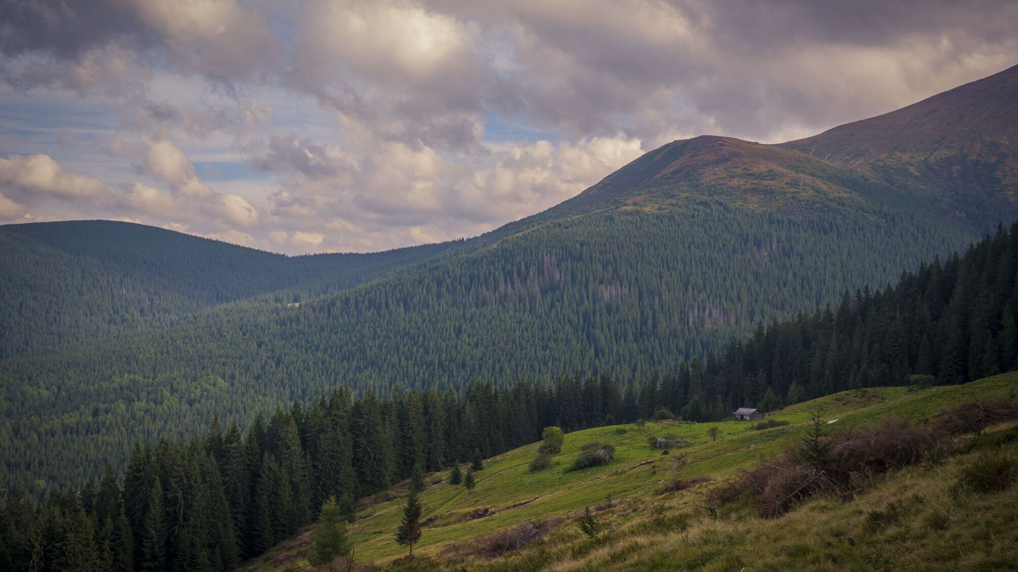 Карпатський національний природний парк