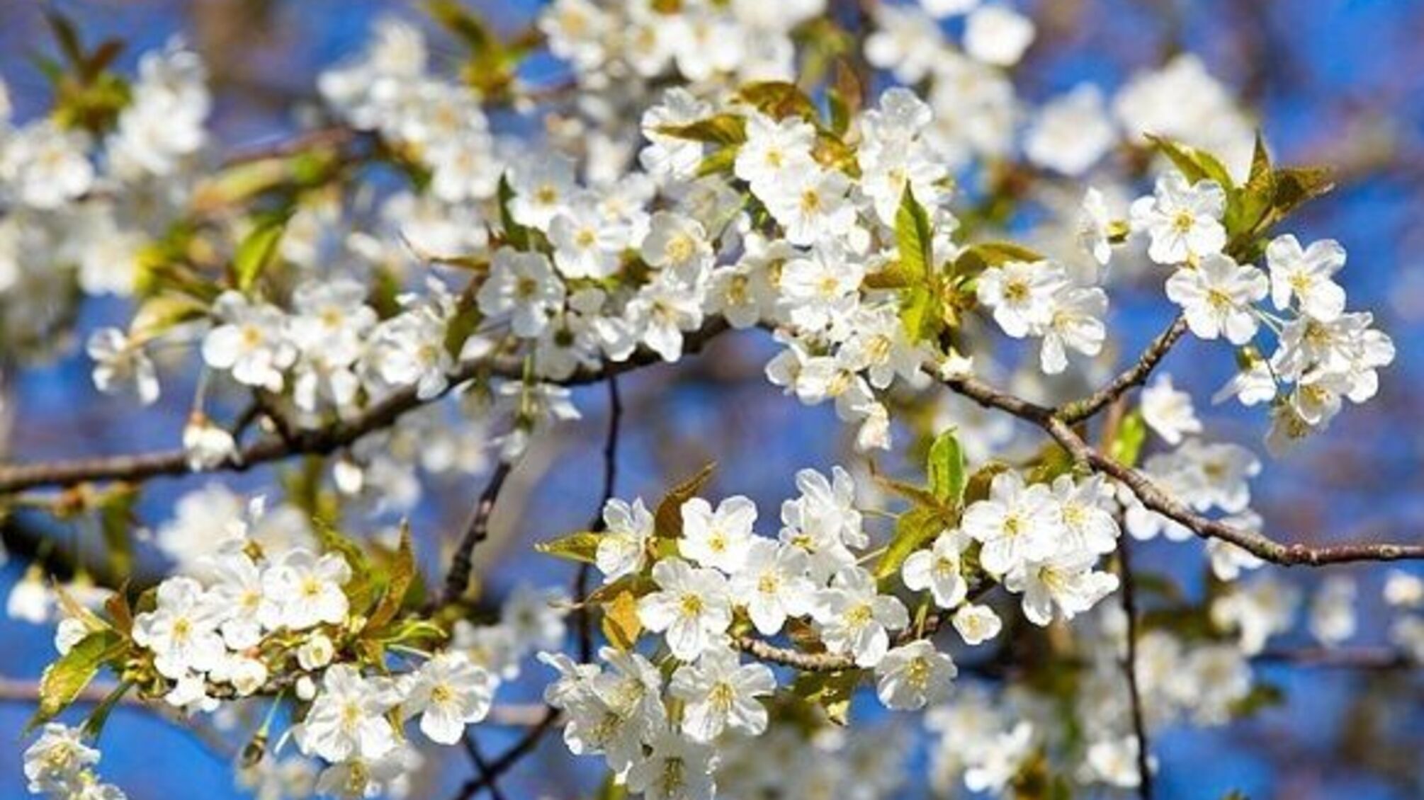 Погода в мае