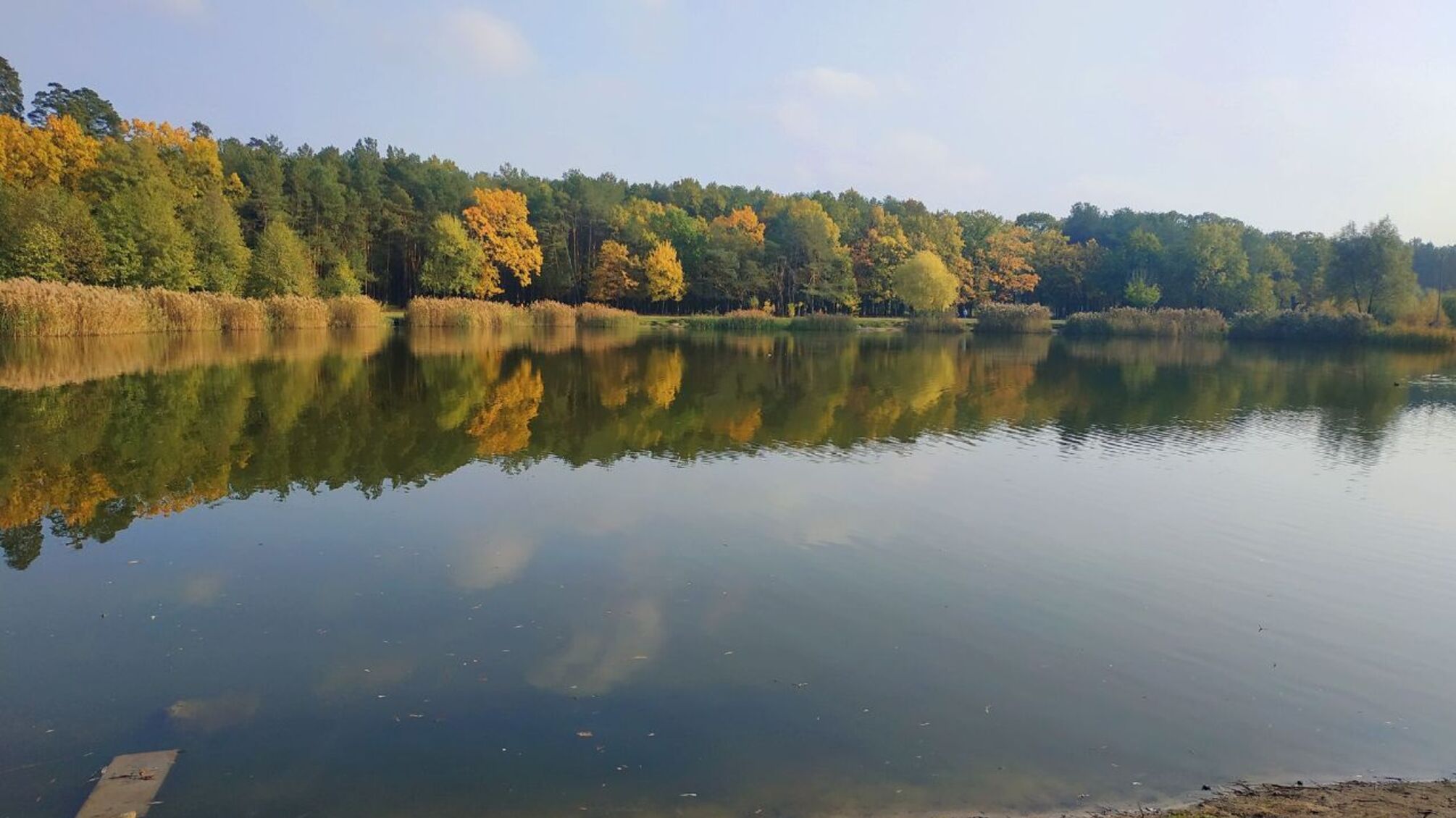 Голосеевский лес
