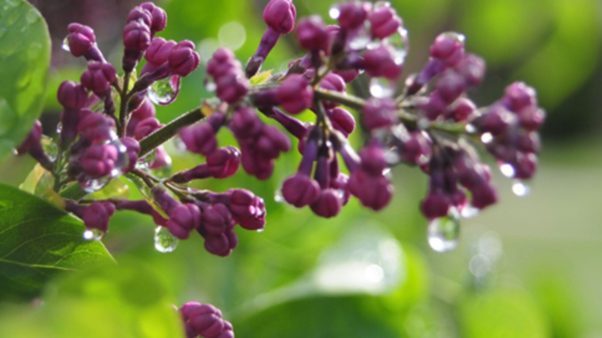 Погода в Украине