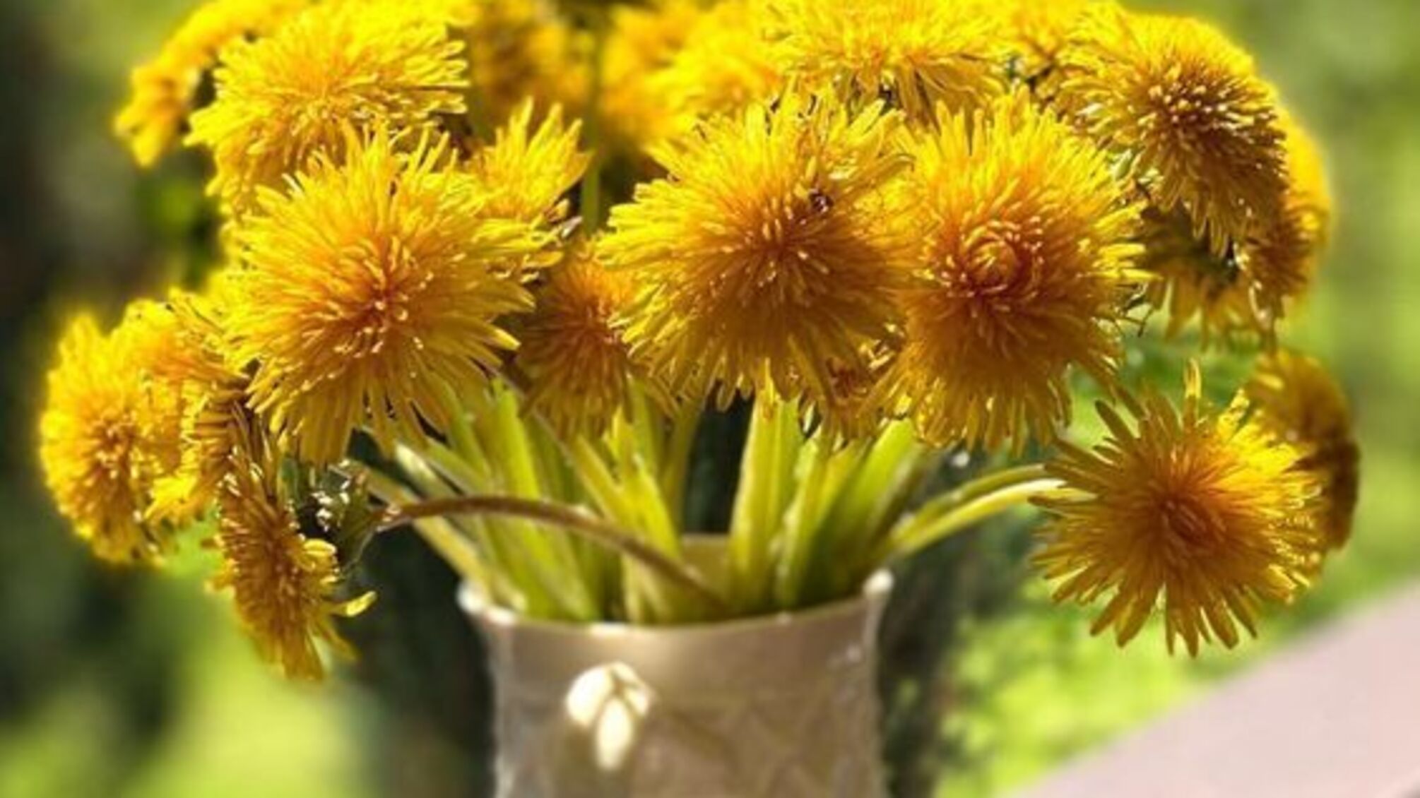 Всемирный одуванчик 13 мая: символ весны и надежды