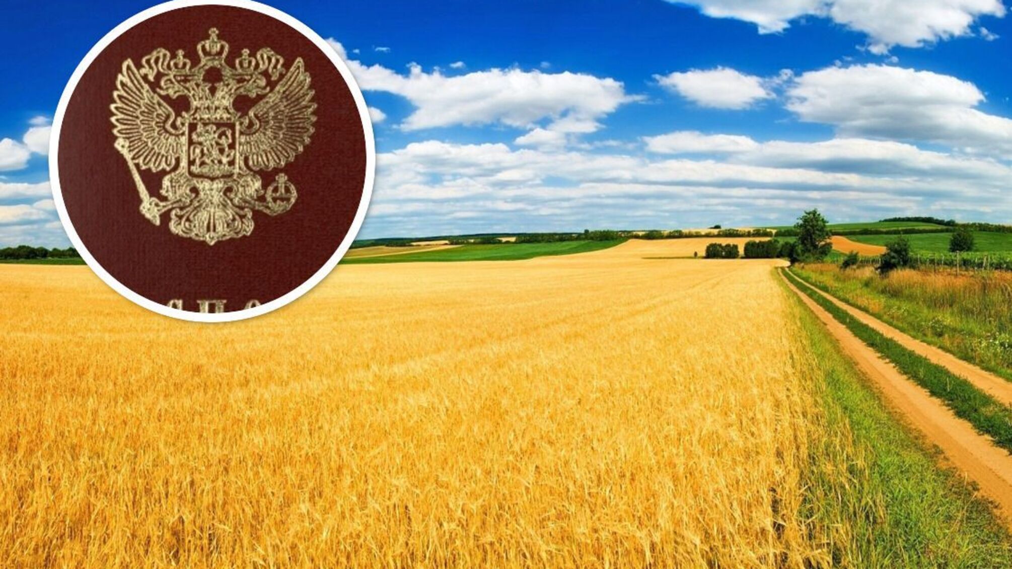 176 граждан России незаконно владели землей в Киевской области