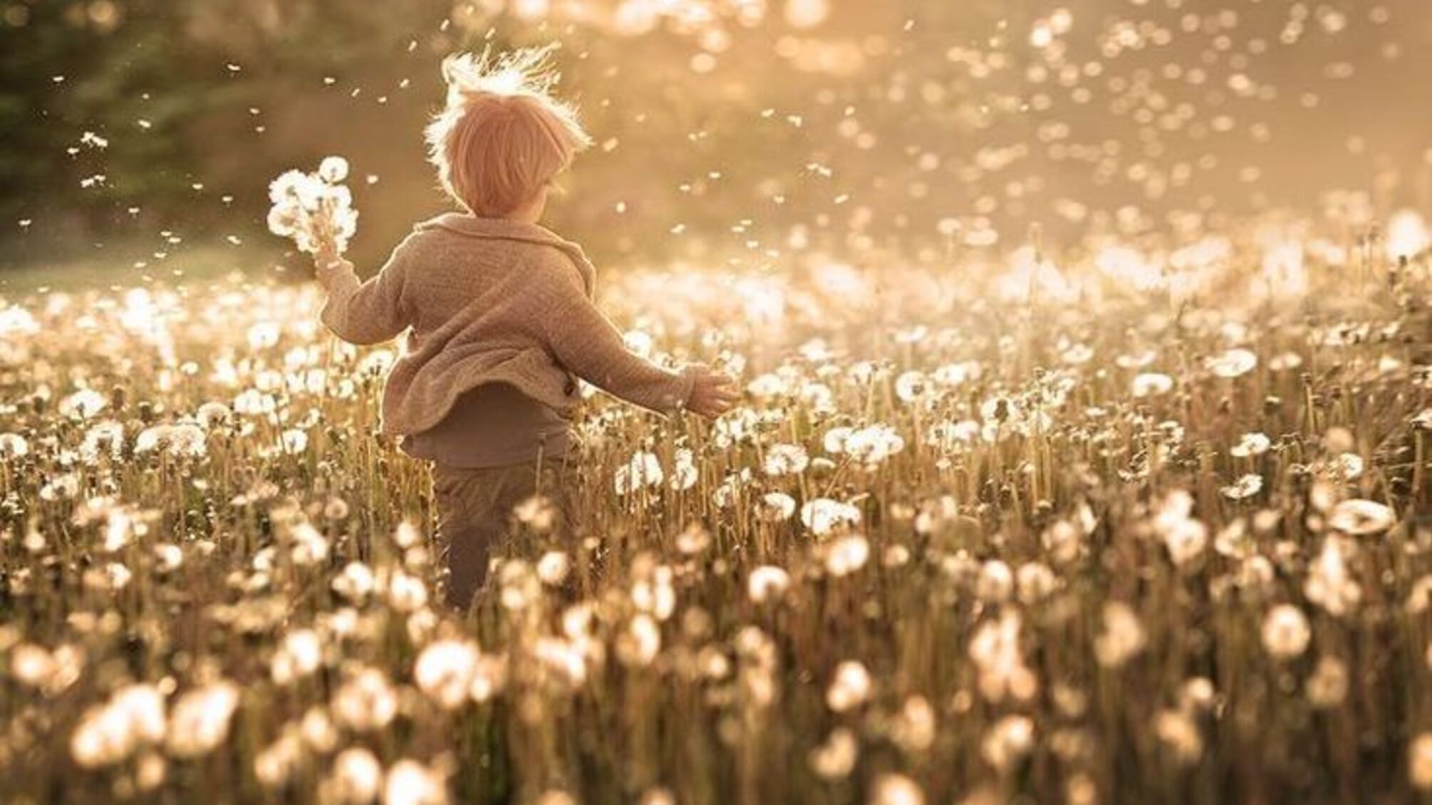 День ангела Никиты 28 мая