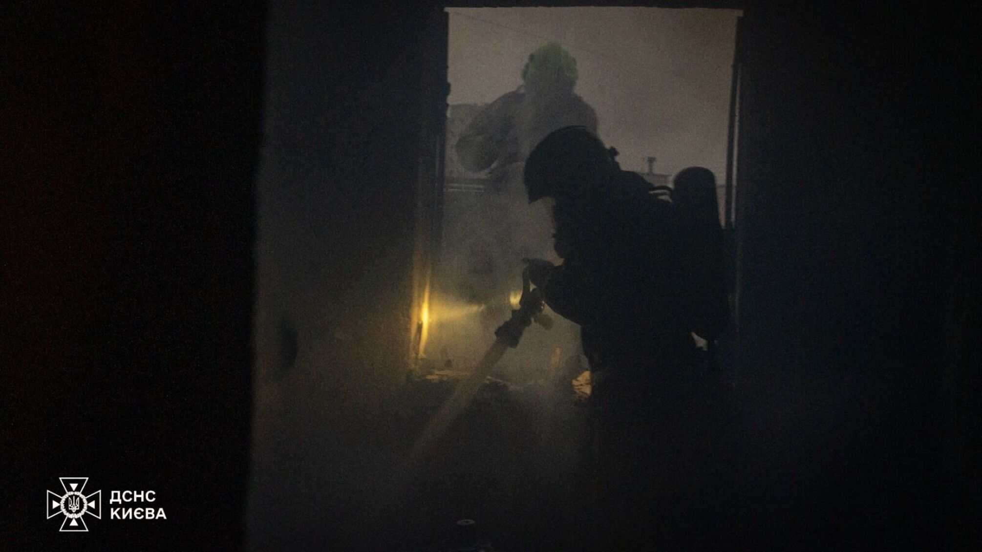 Ночная атака на Киев: в горящей квартире погибли женщина и 10 кошек, которых она приютила