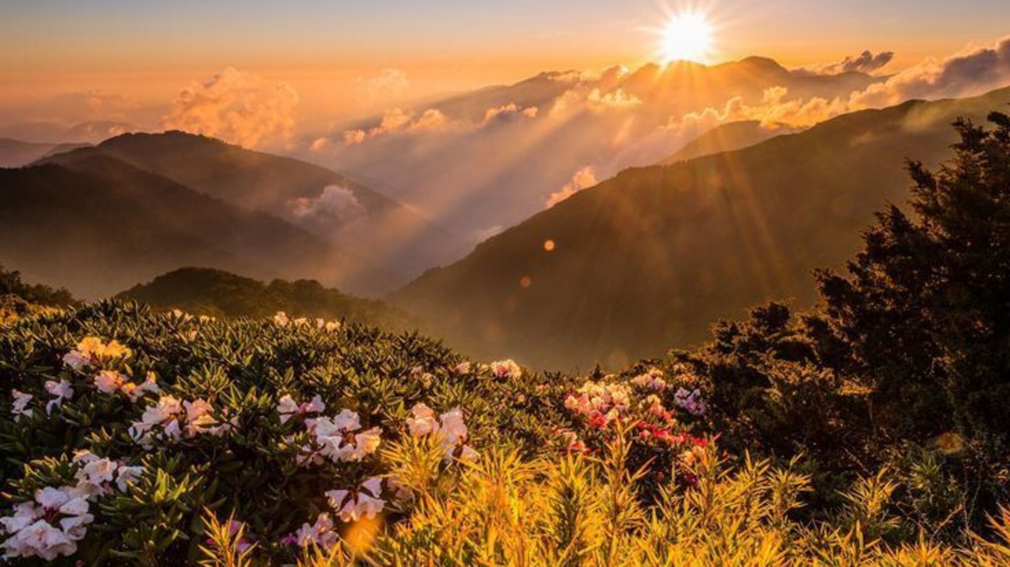 12 червня — день янгола