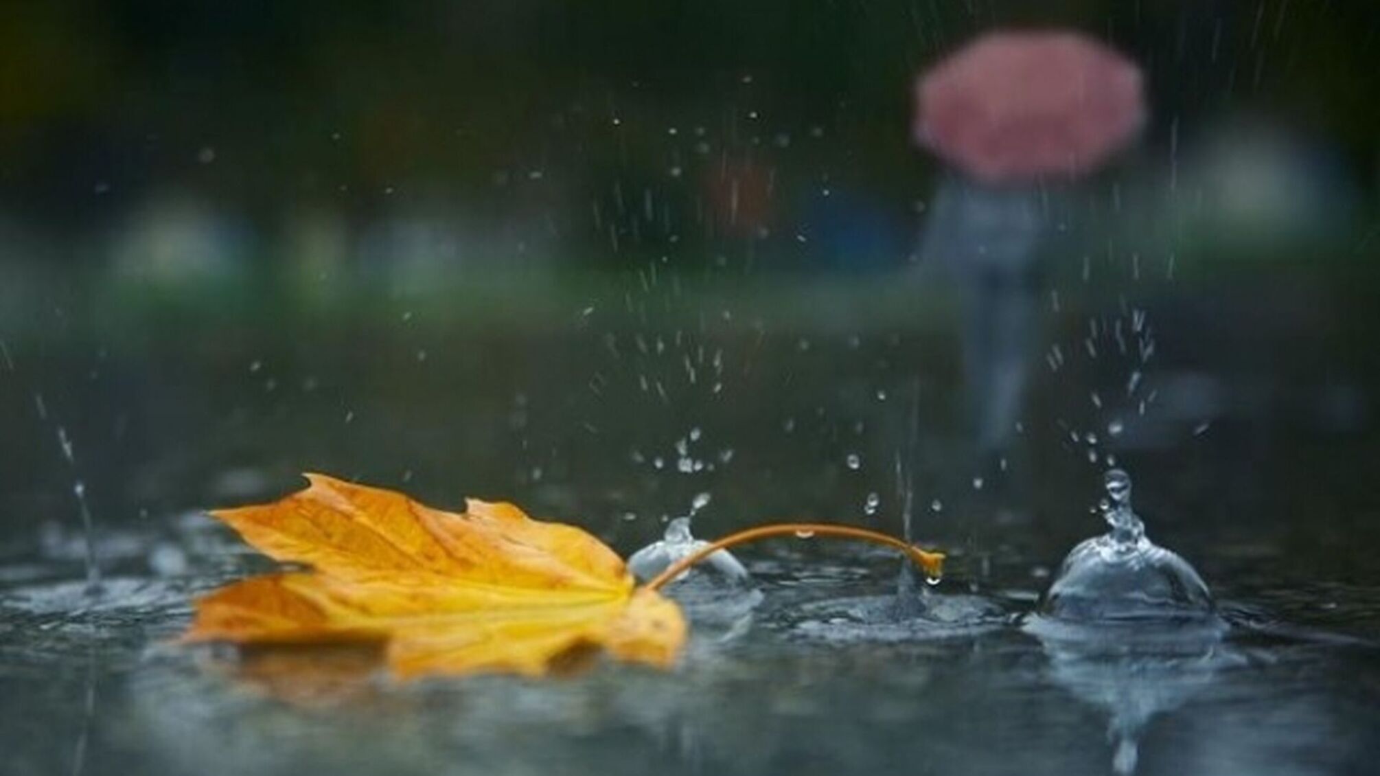 На западе ливни, на востоке жара