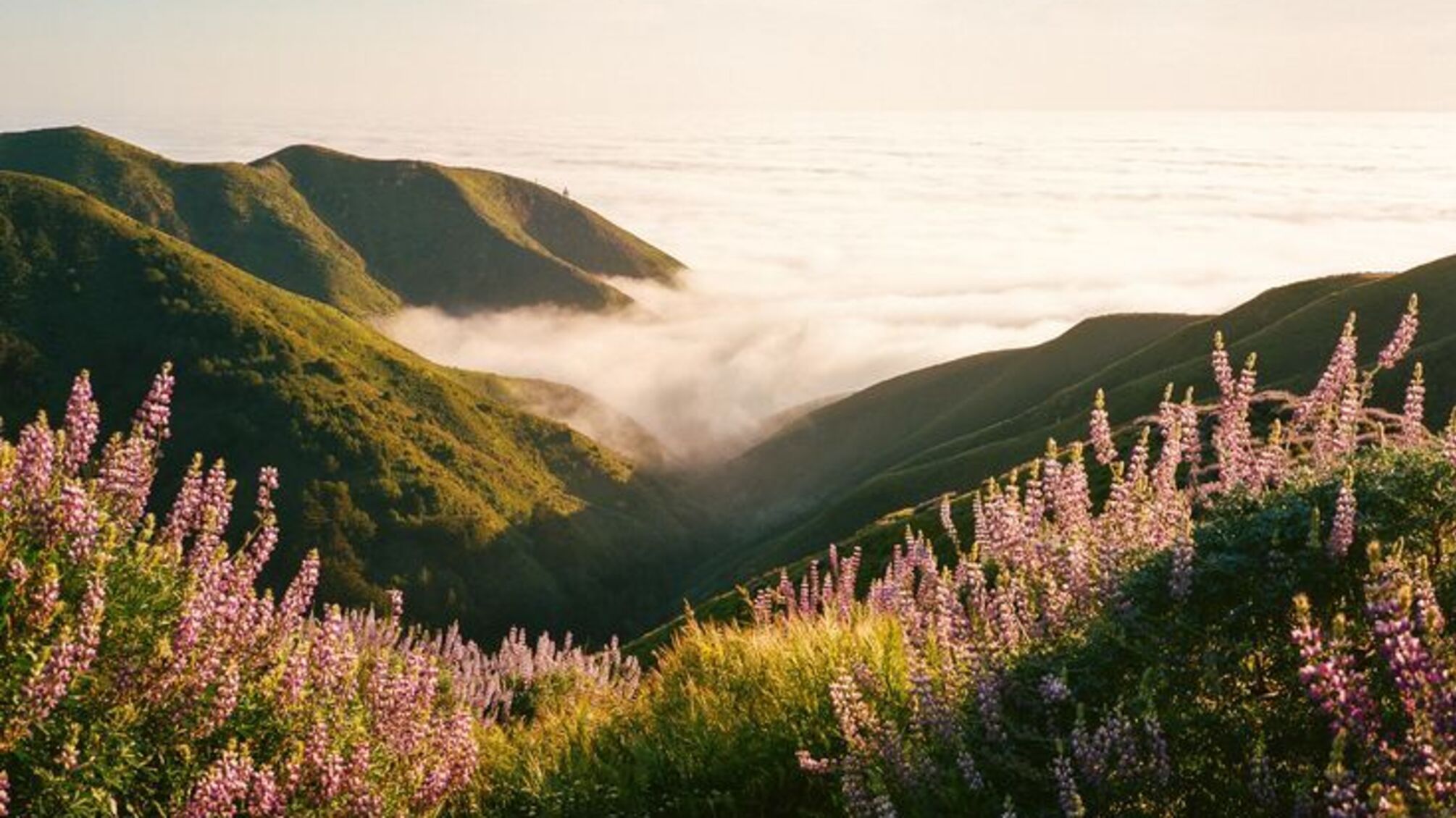 Іменини 13 червня: кого вітати і що символізують імена