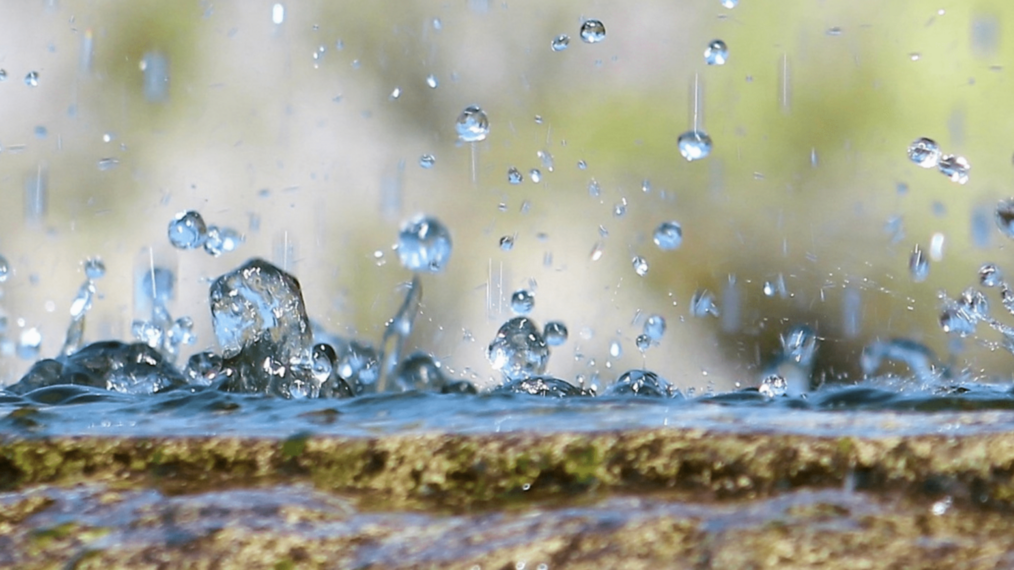 Літня спека і дощі