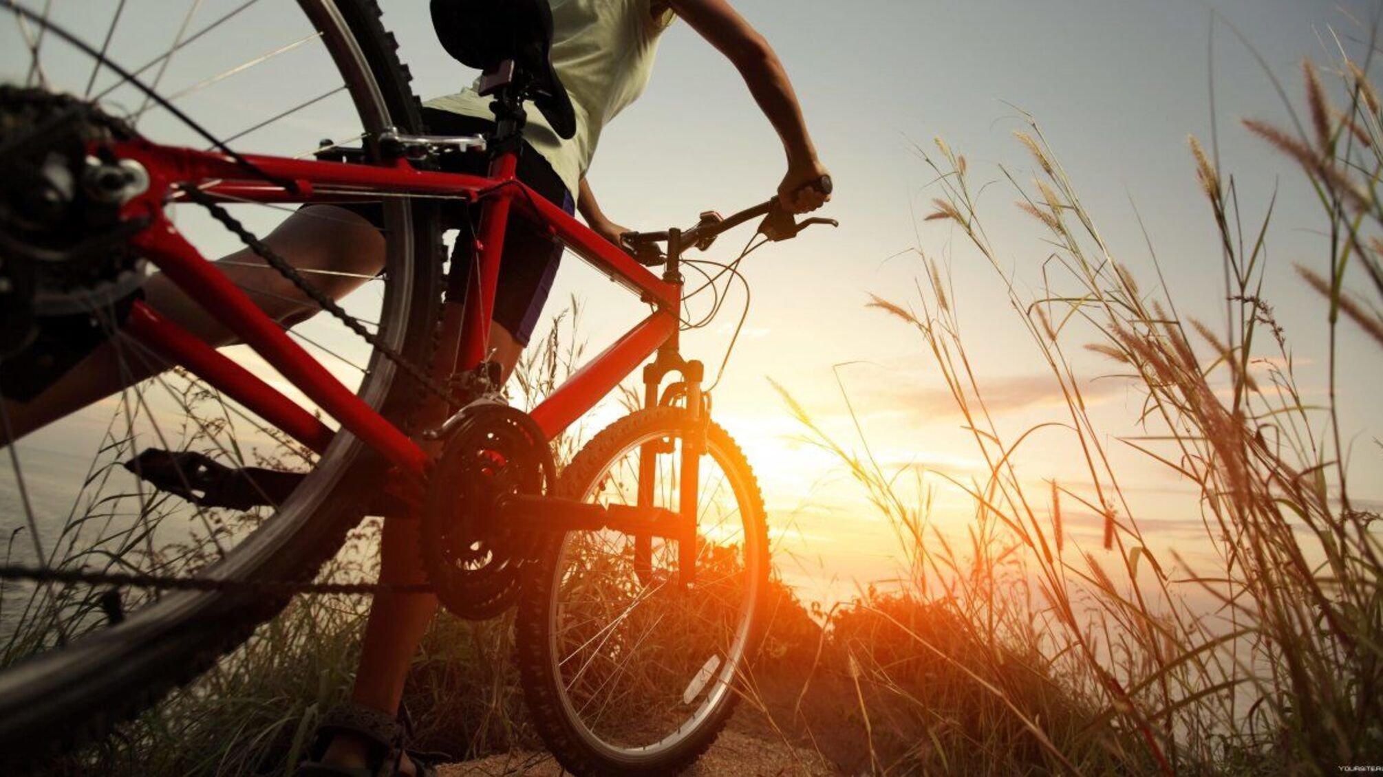 3 июня - Всемирный день велосипеда