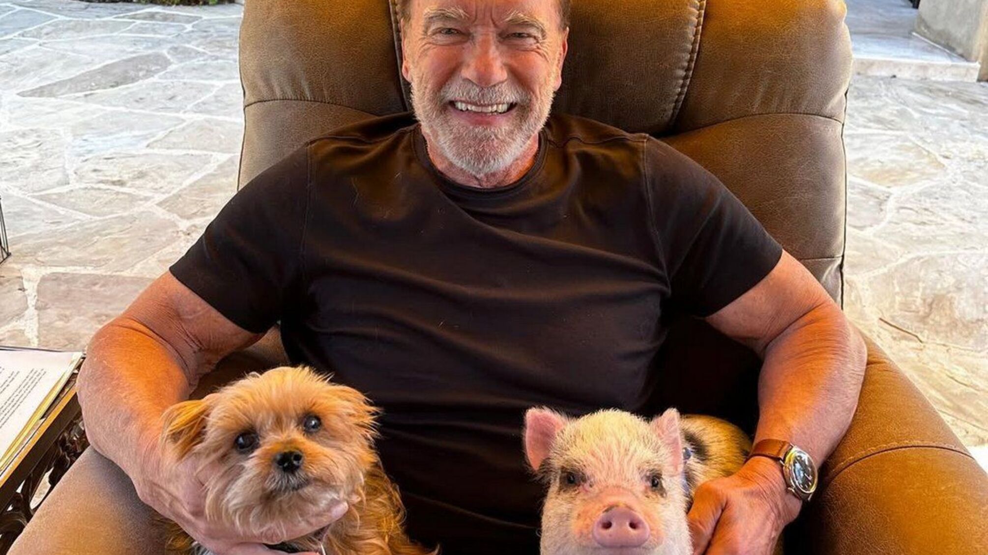 Арнольд Шварценеггер завел свинью, лошадь и осла, чтобы преодолеть кризис среднего возраста