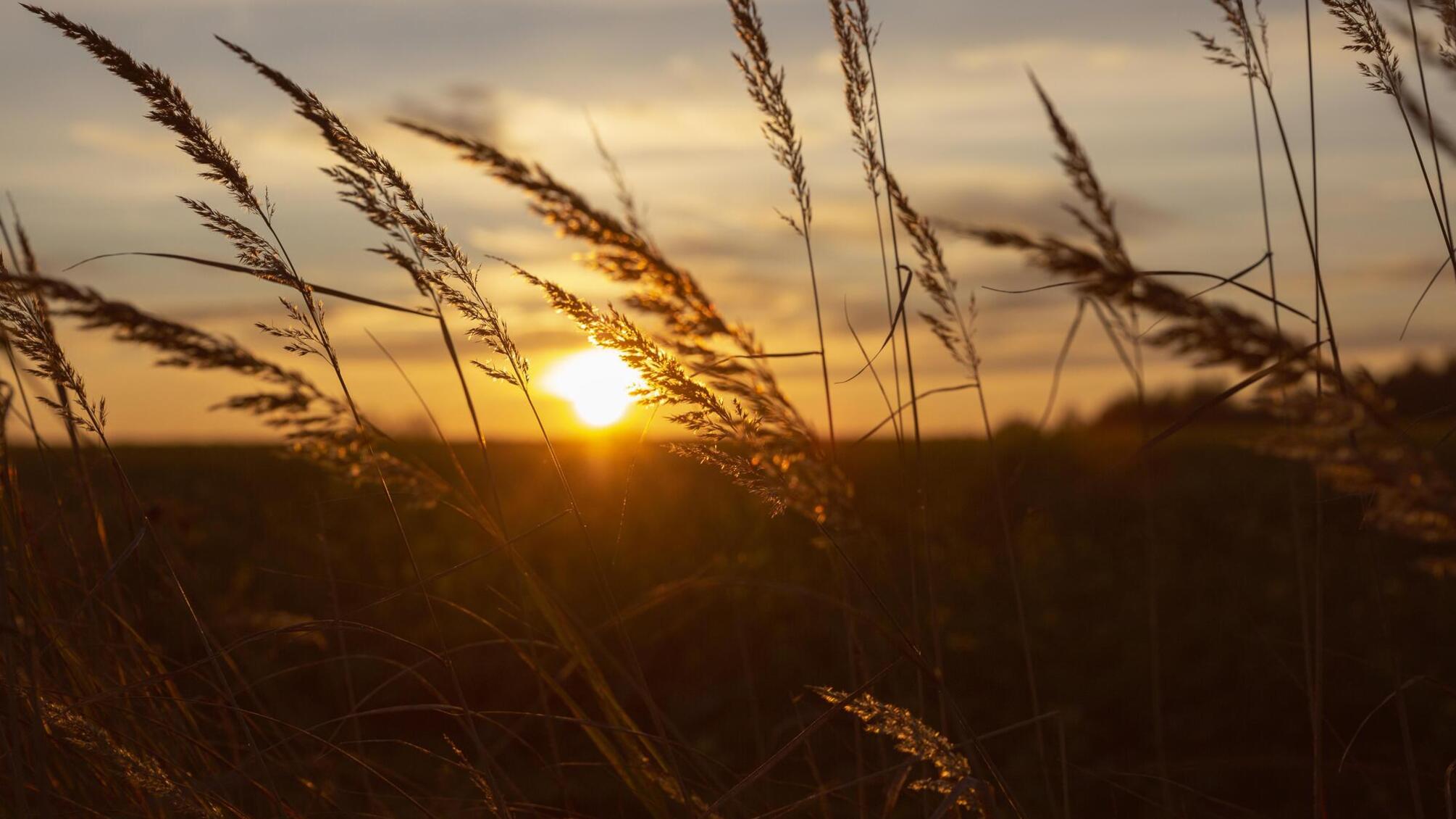 Летнее солнцестояние: обряды, приметы и советы, как провести день