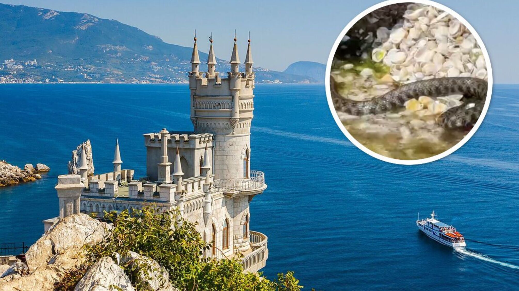 В Крыму фиксируют нашествие ядовитых змей