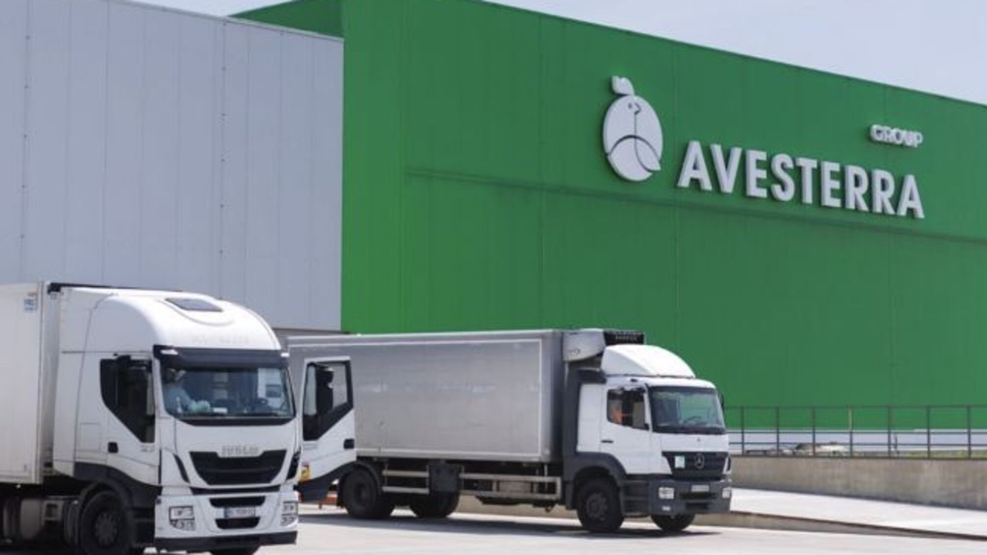 Птицебизнес с криминальным шлейфом: что известно о деле против Avesterra Group