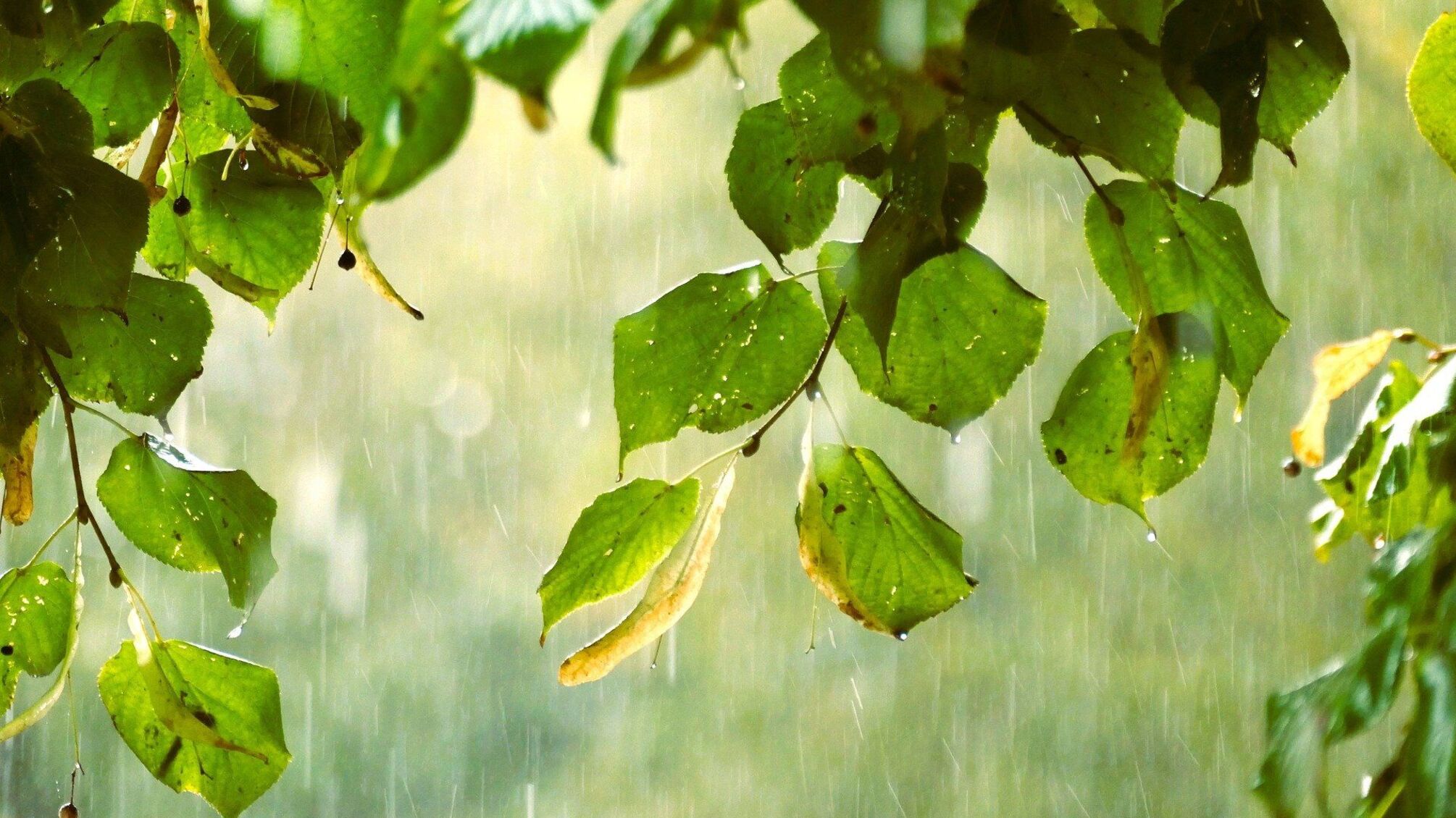 Погода 5 июля будет контрастной