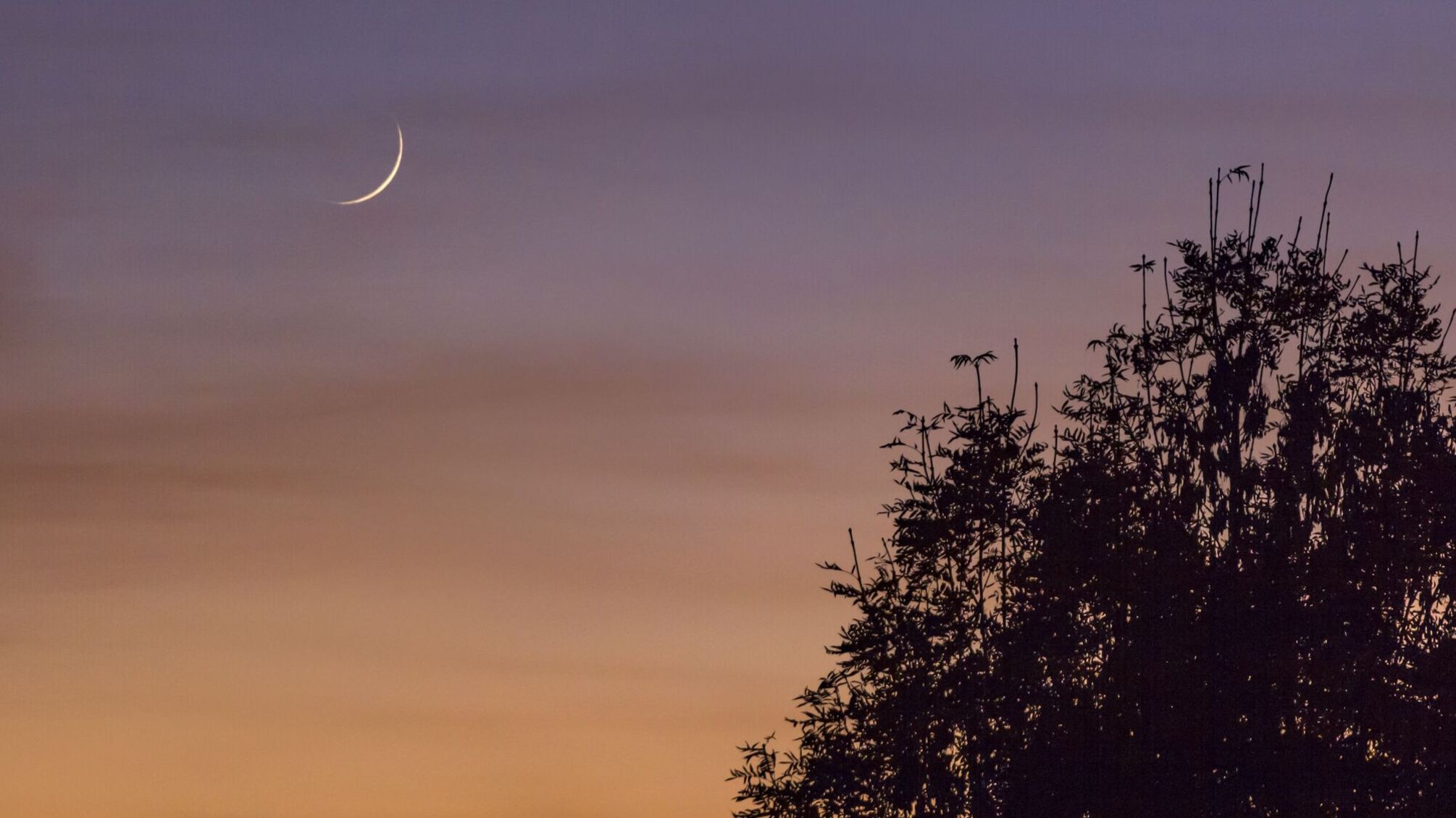 Молодик 25 червня: поради астролога для емоційної стабільності