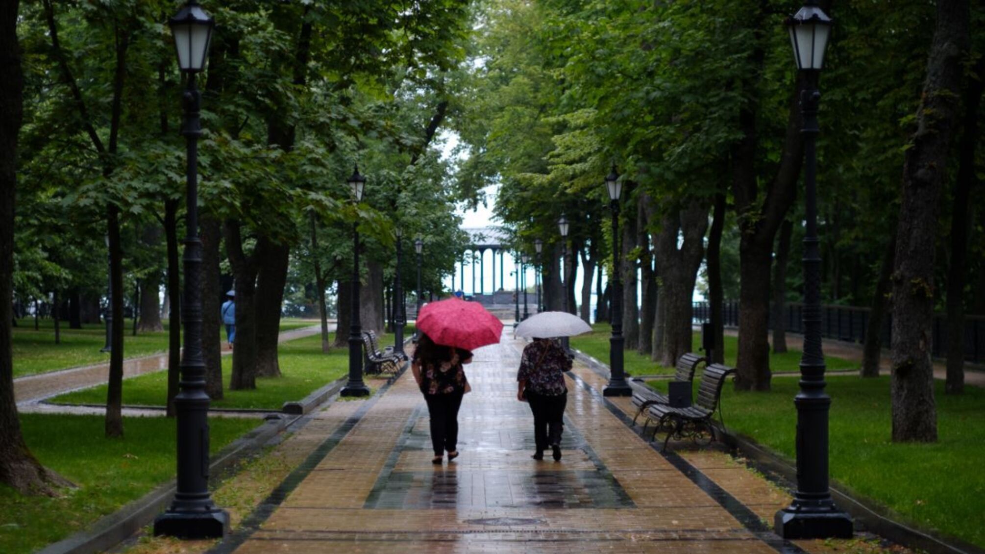 Завтра холодный фронт принесет свежесть и дожди в столичный регион