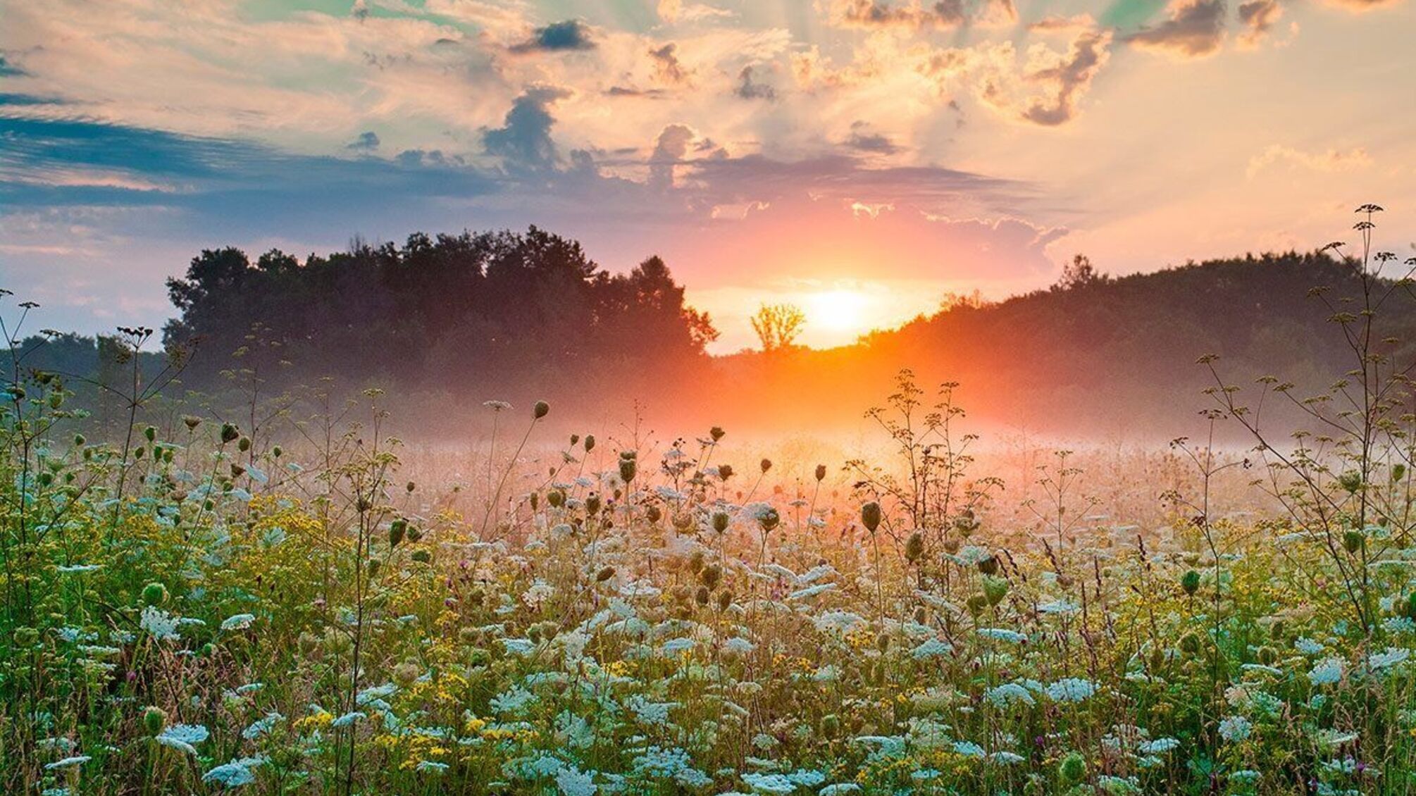 погода 13 июля