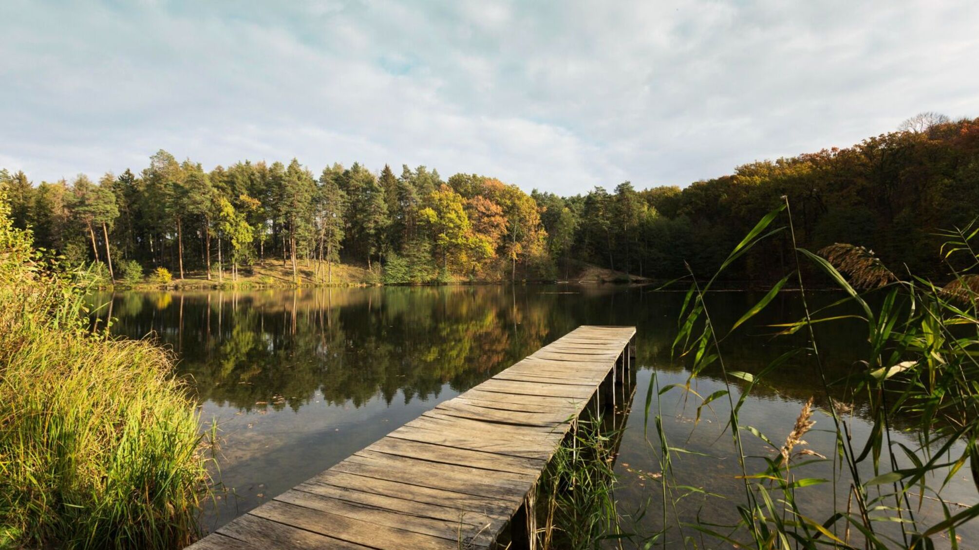 Именины 21 июля: кого вспоминает церковь и как приветствовать