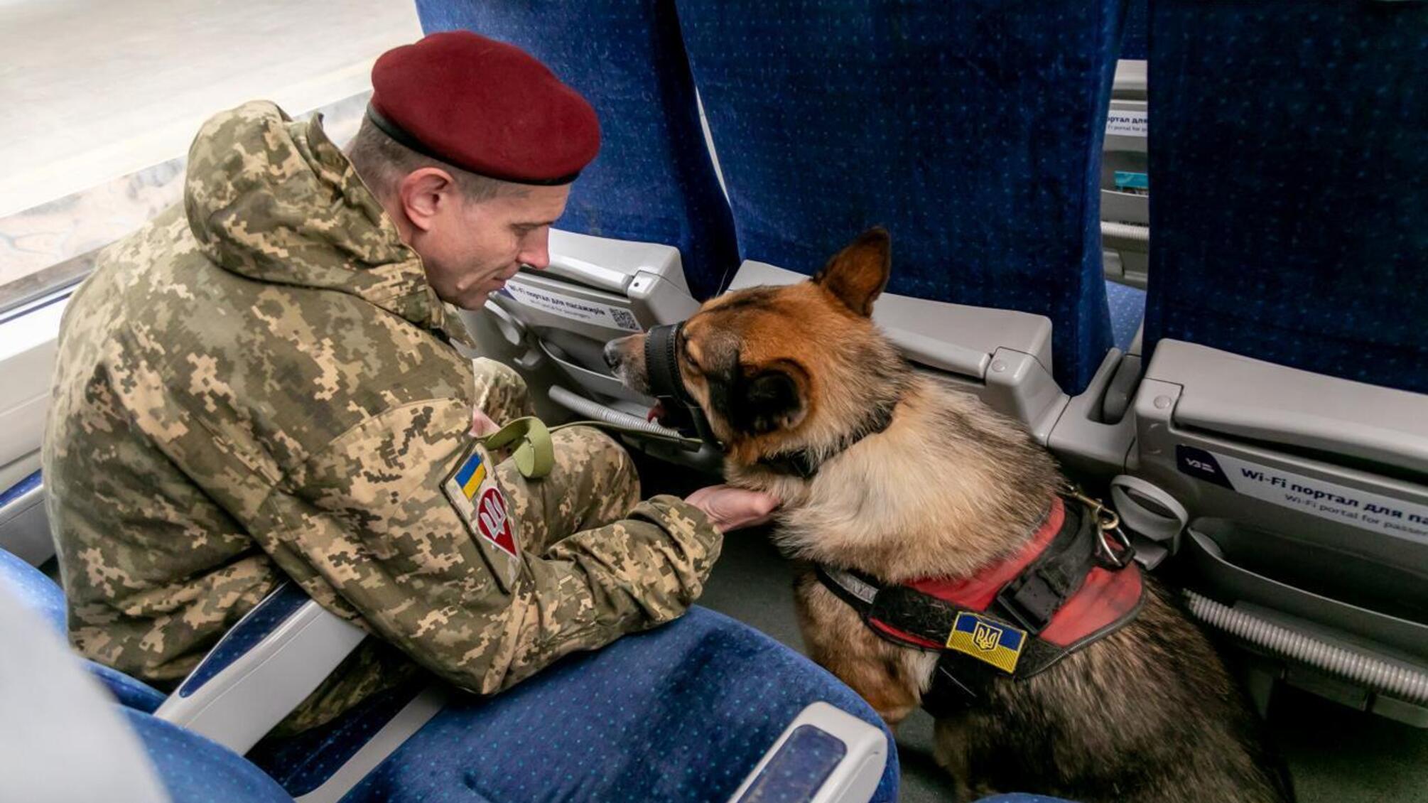 Путешествия с любимцами стали проще: УЗ обновила правила перевозок