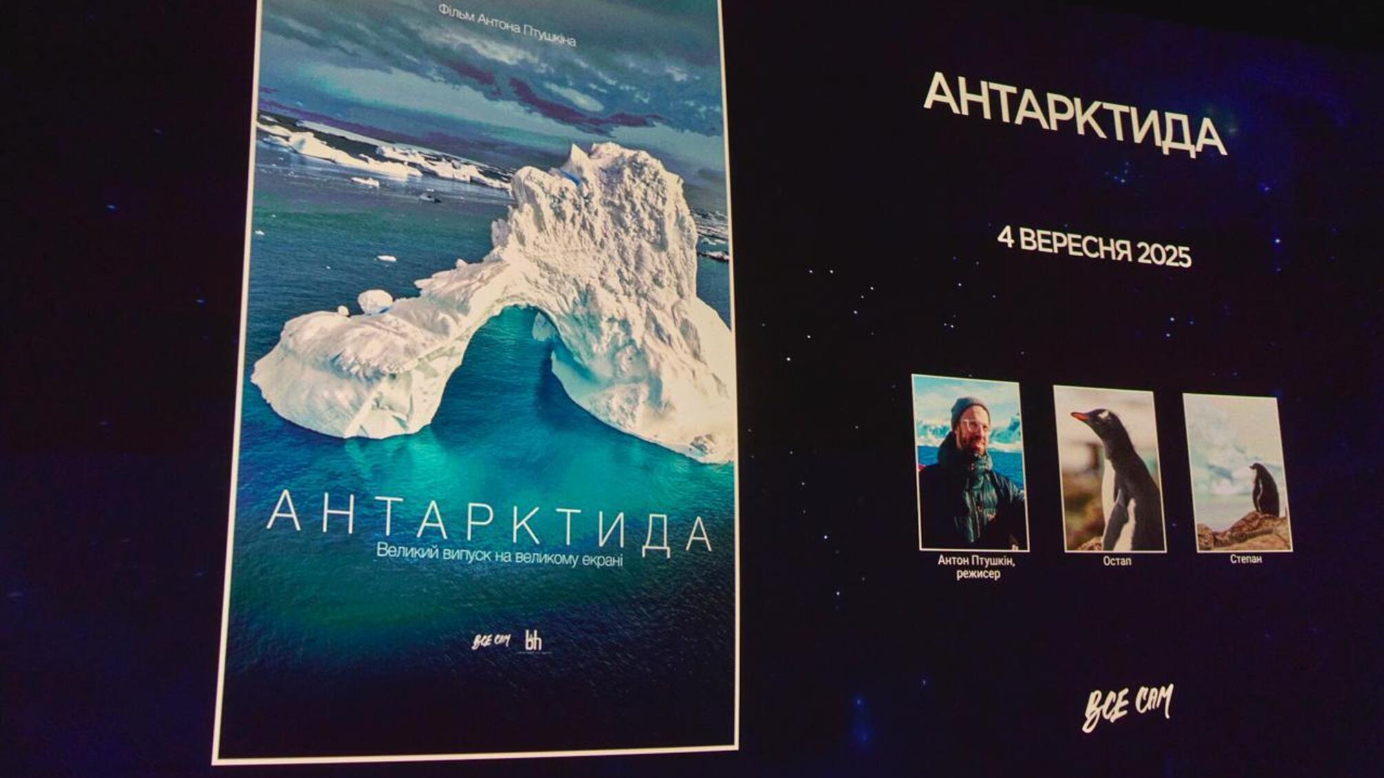 «Антарктида» Птушкина: что известно о новом документальном фильме режиссера