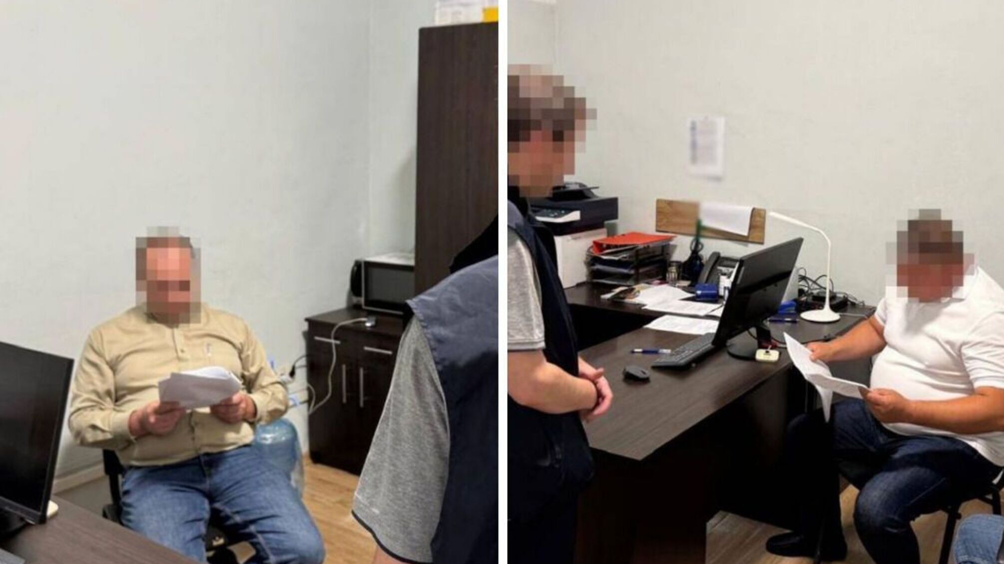 Масштабна вирубка лісів на Львівщині