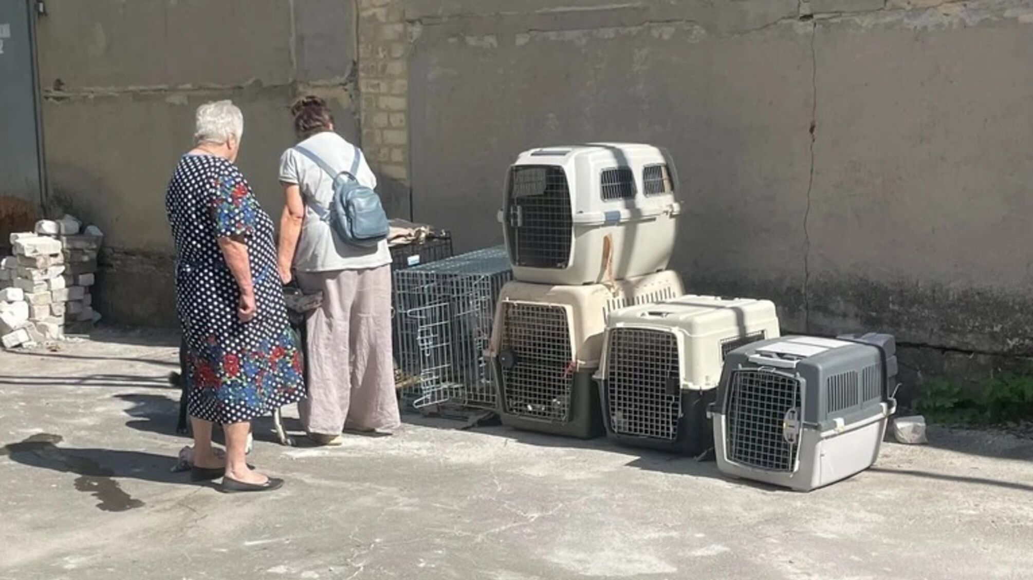 Добрянка проти переселенців