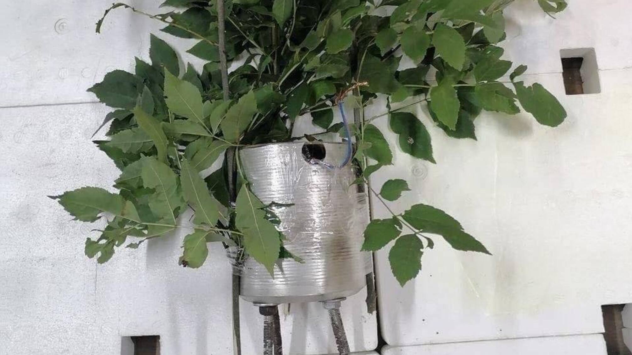 Опасная маскировка: взрывчатку прячут в «вазонах» и сбрасывают с дронов