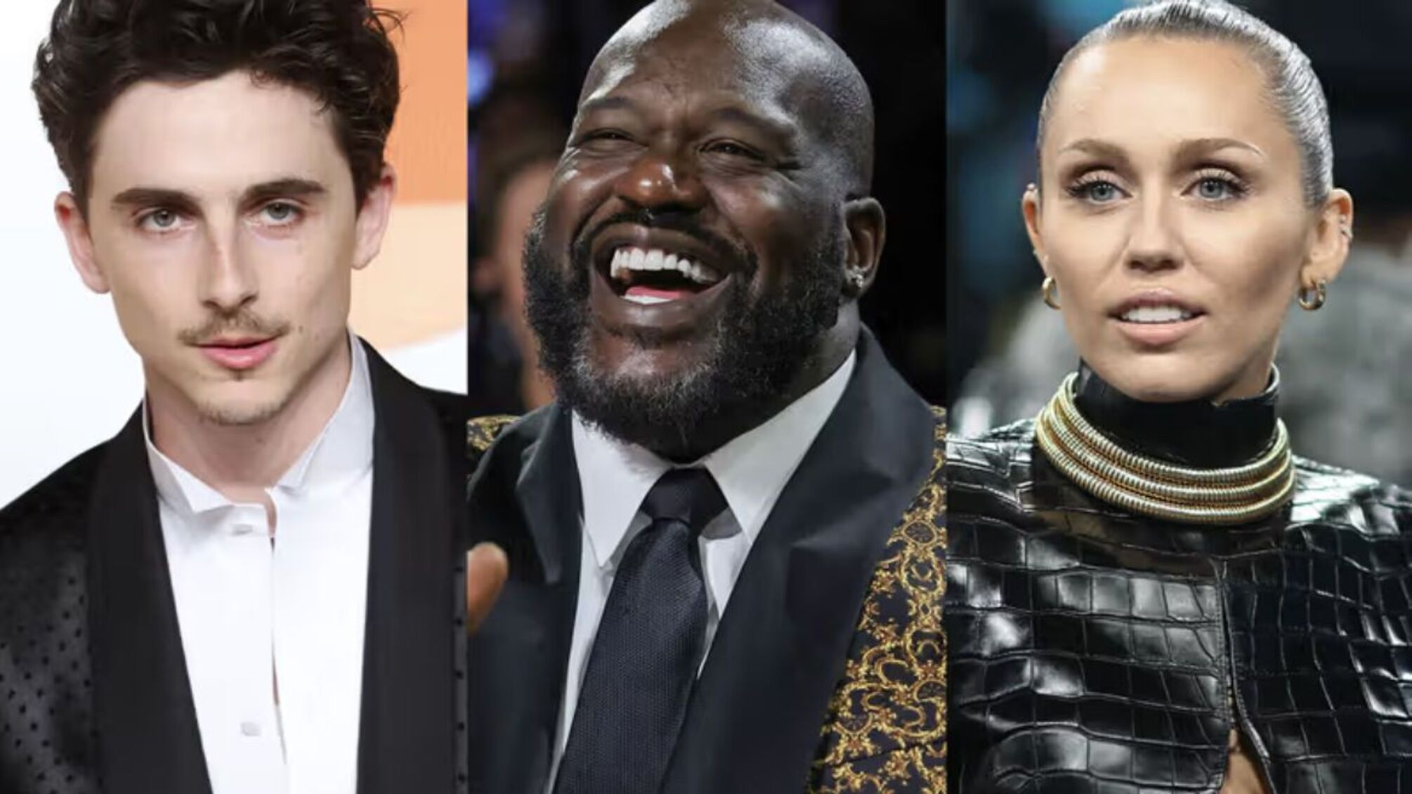 Від Майлі Сайрус до Тімоті Шаламе: нові імена на Алеї слави: кого вшанують у 2026 році