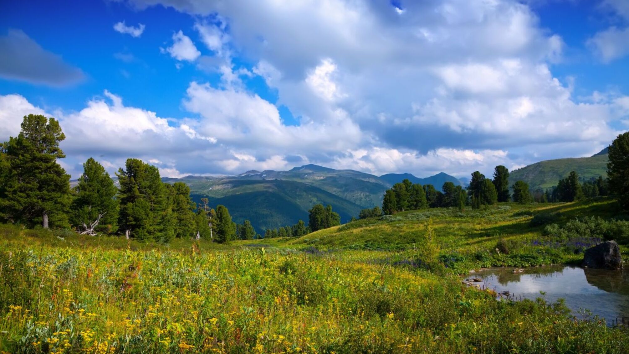 Іменини 14 квітня 2026: кого привітати у день янгола