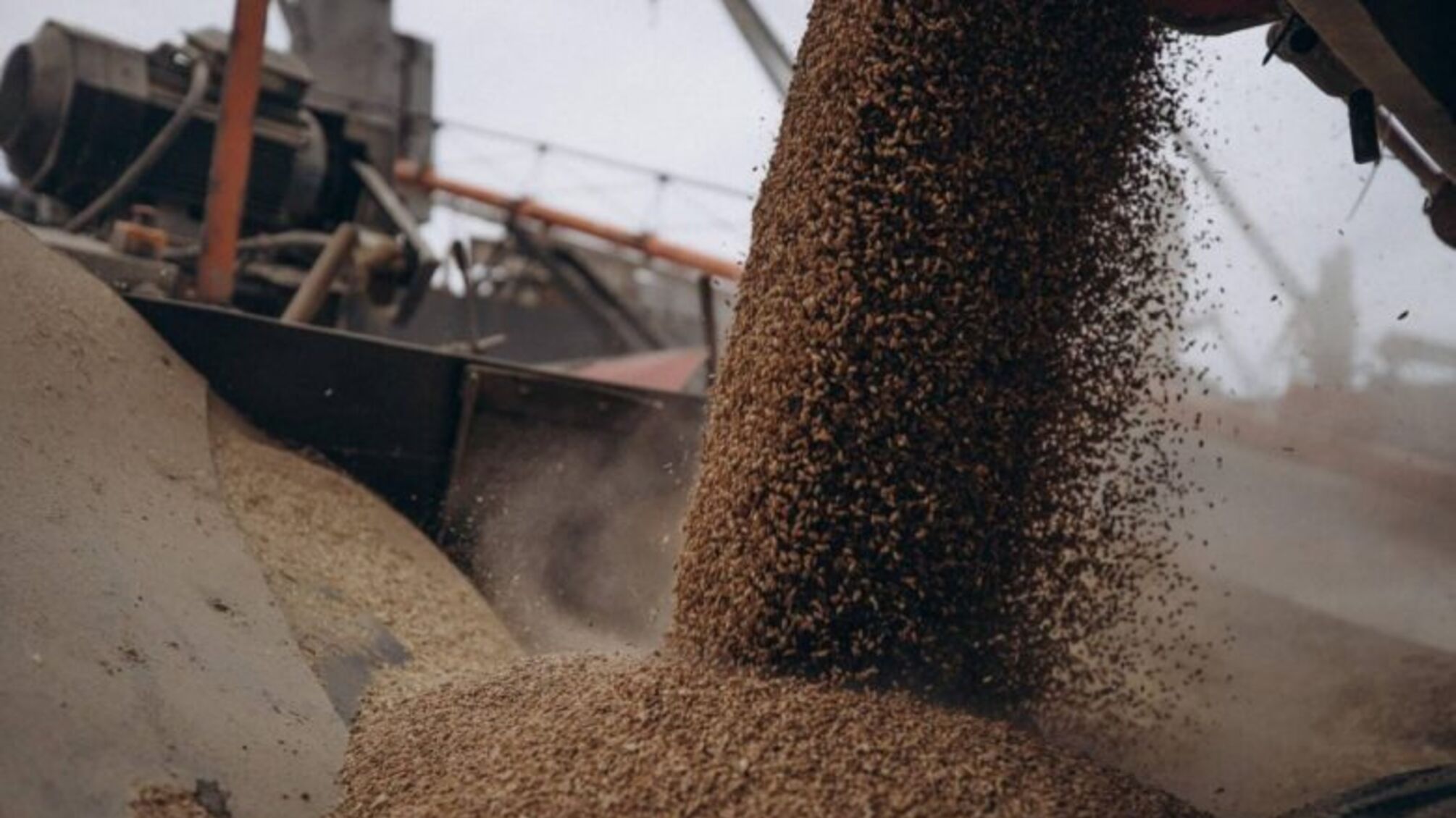 Польша теряет миллионы: что скрывают блокировки транзита украинской продукции
