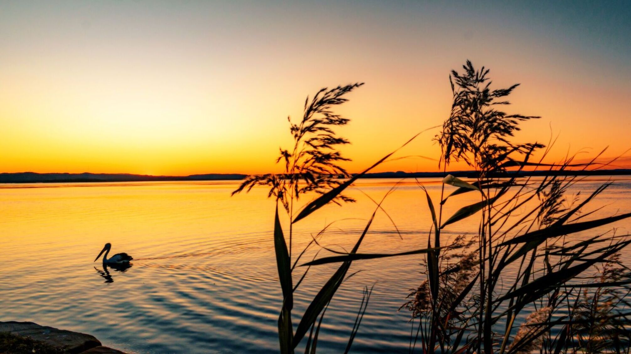 День ангела: Савва, Федор и Александр празднуют 8 июля