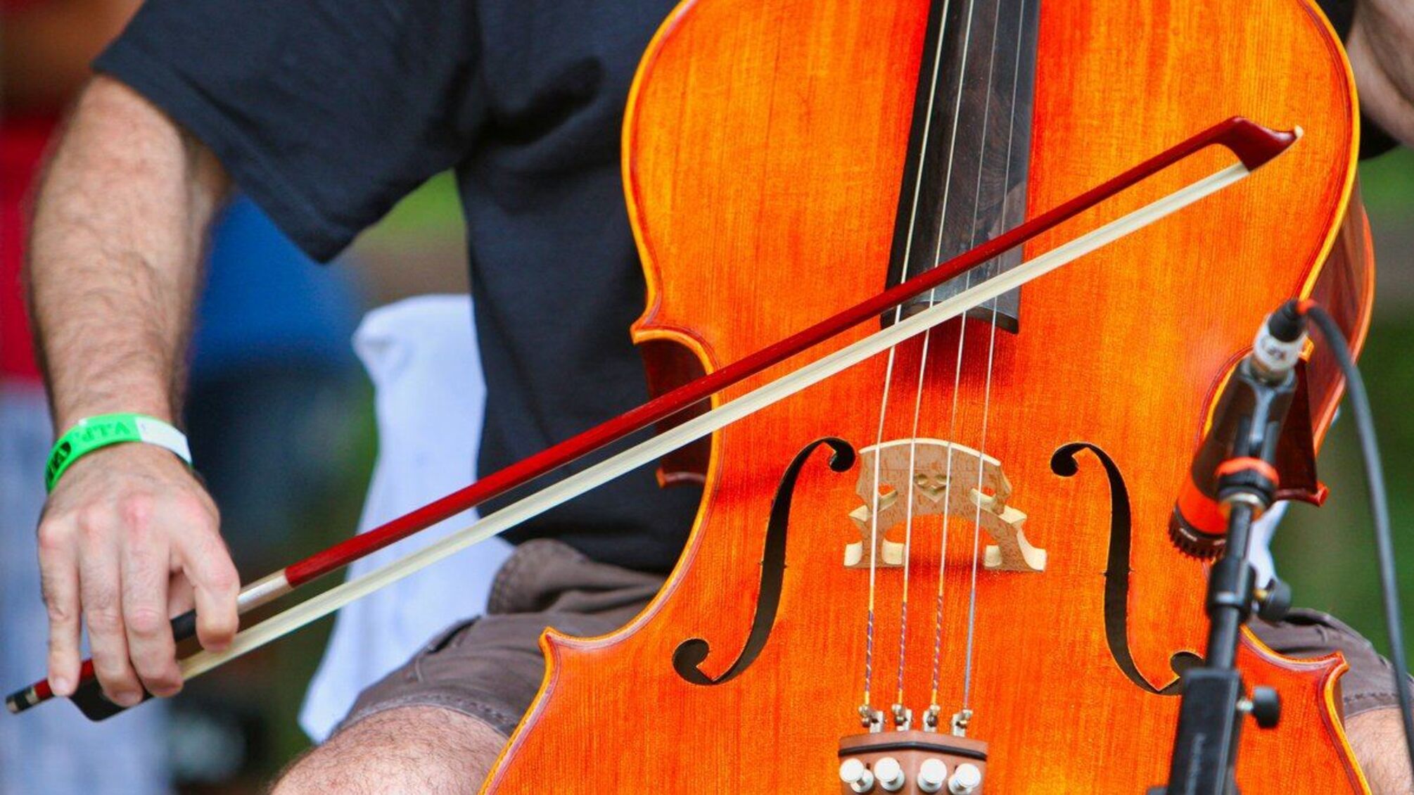 У Токіо знайшли скрипку Страдіварі, зниклу наприкінці Другої світової