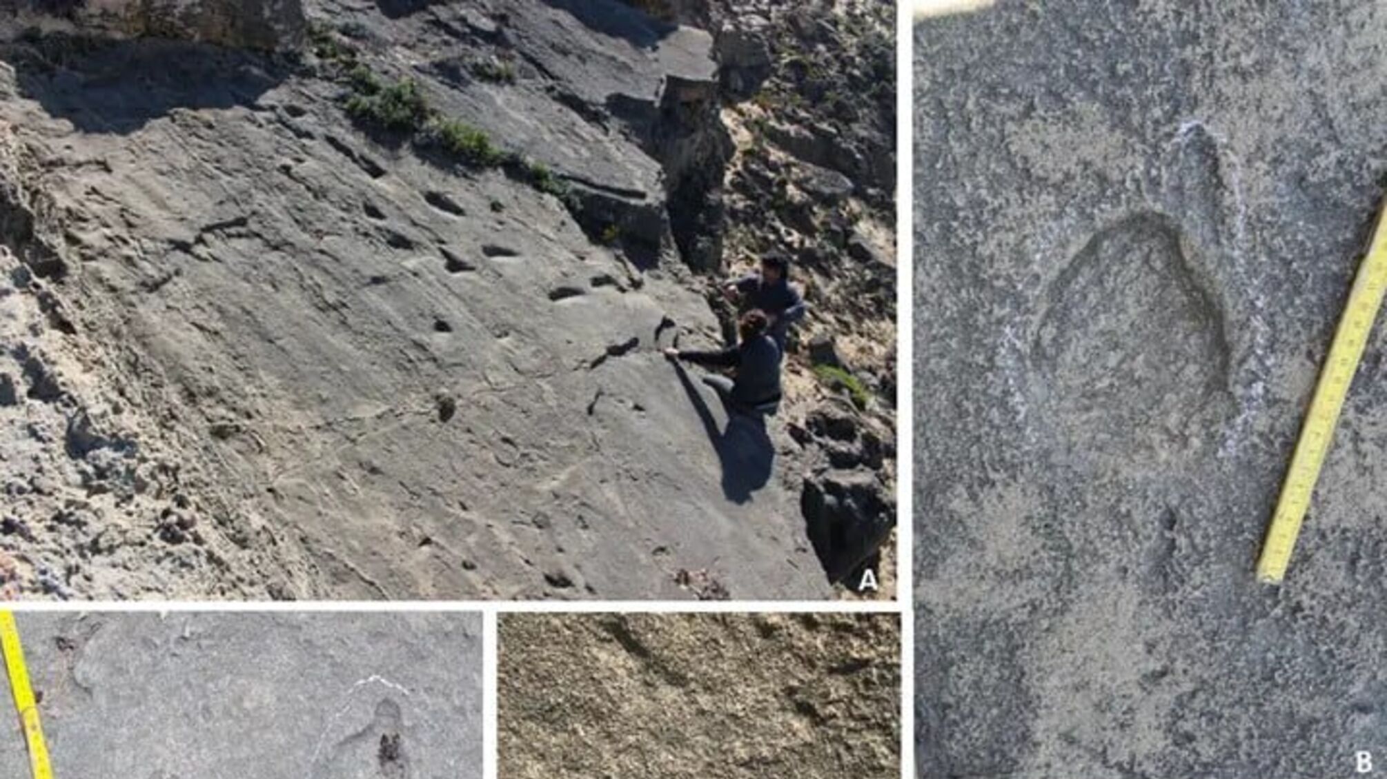 На побережье Португалии нашли следы неандертальцев всех возрастов