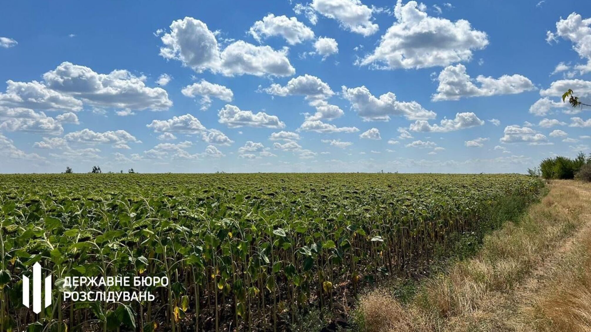 Мільйонні збитки через захоплення військових земель