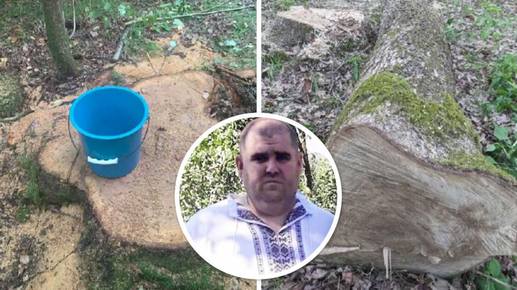 Бывшего руководителя агролесхоза подозревают в ущербе государству на миллионы гривен, – 'Голос Инфо'