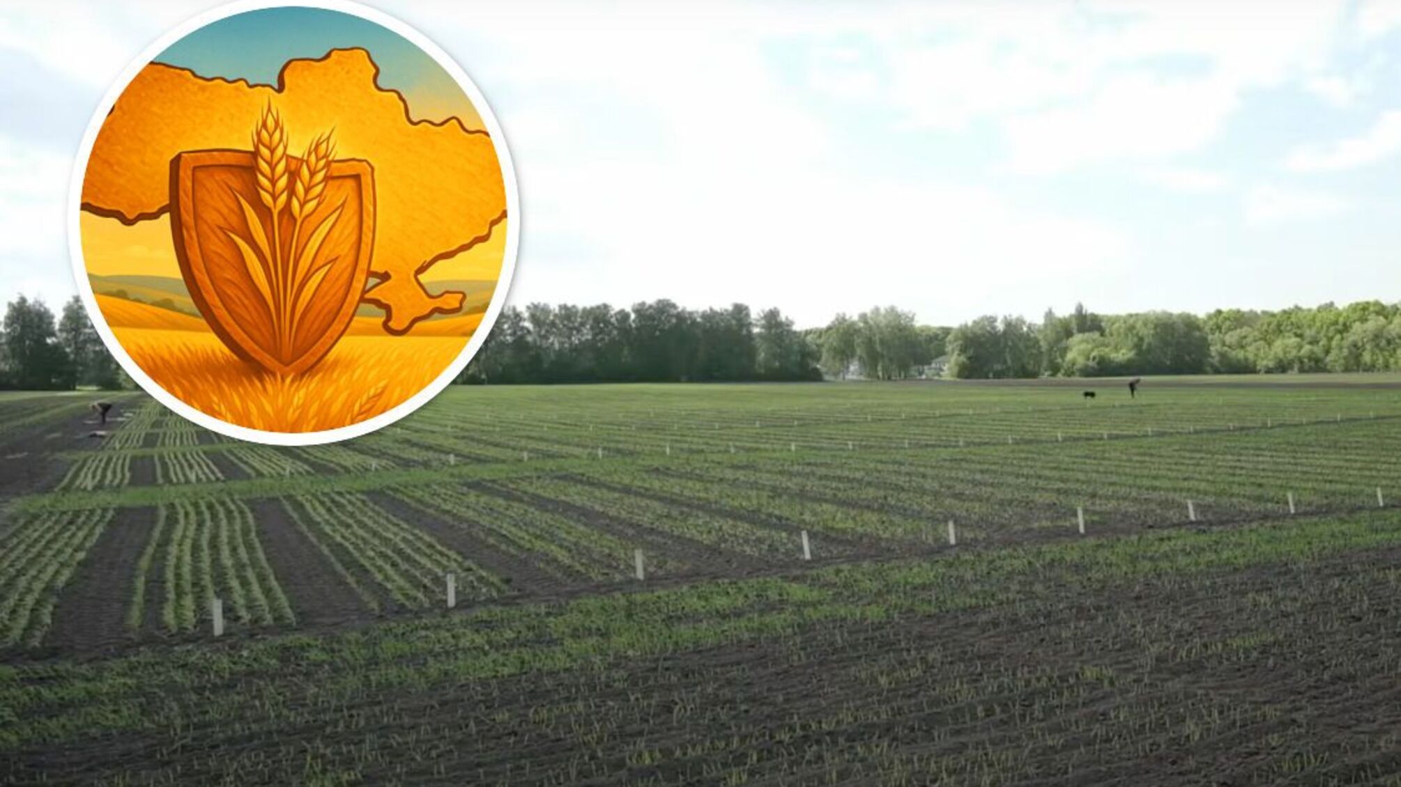 Носівську селекційну станцію хочуть позбавити половини землі попри мільйонні прибутки