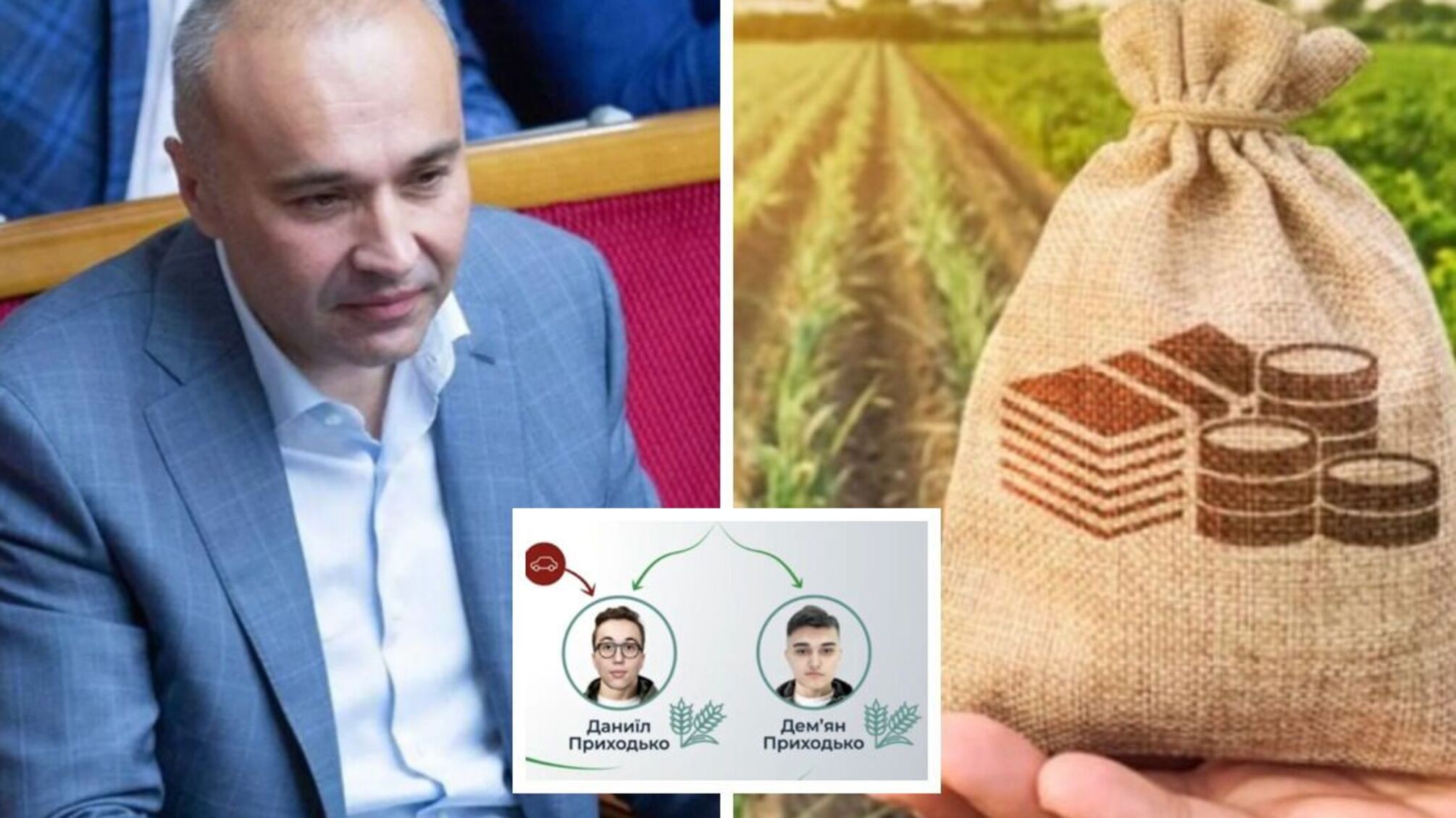 На Черниговщине семья нардепа контролирует земли площадью в целое 'княжество'