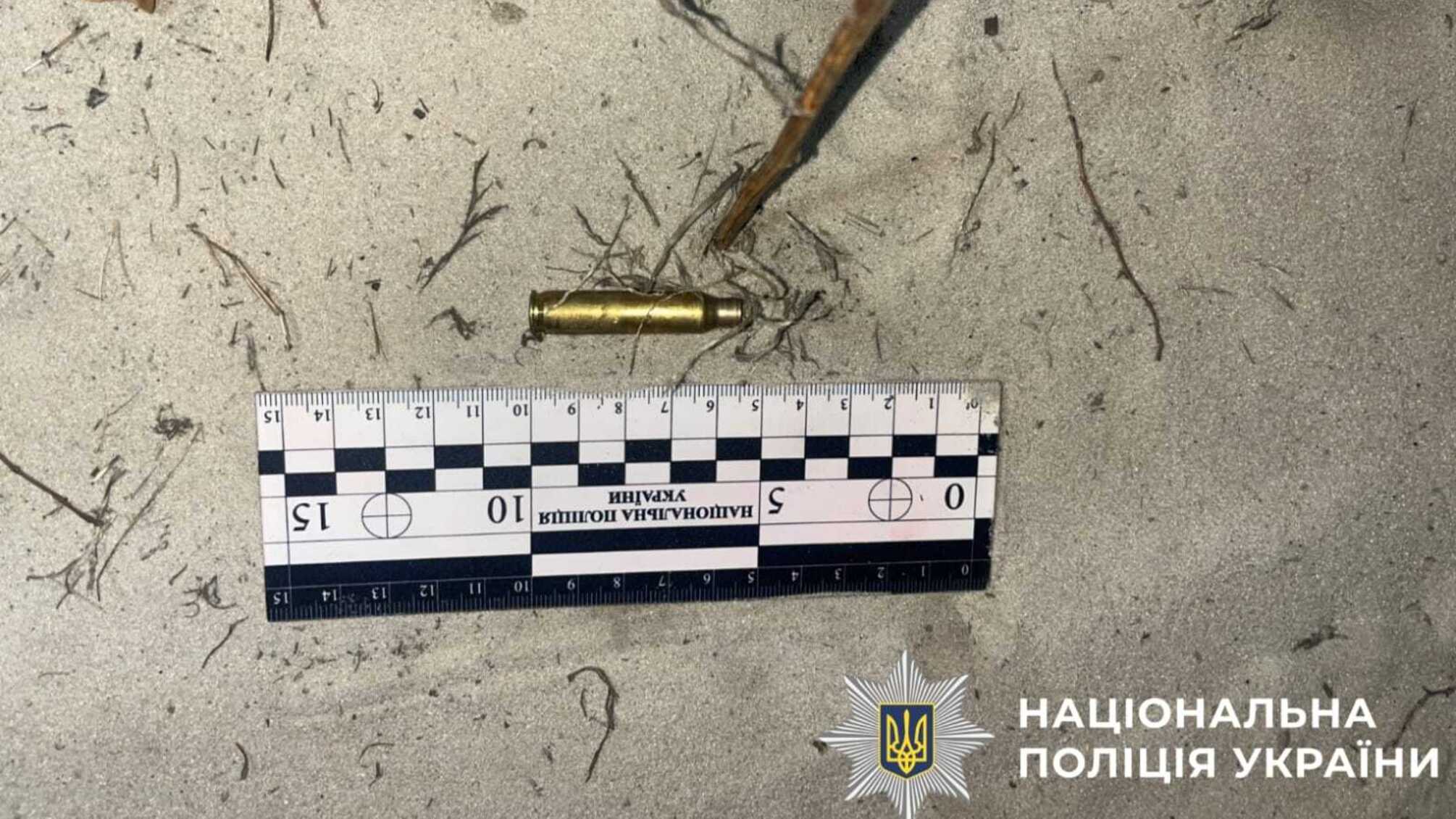 На Київщині чоловік застрелив сусідського пса: які наслідки чекають на порушника