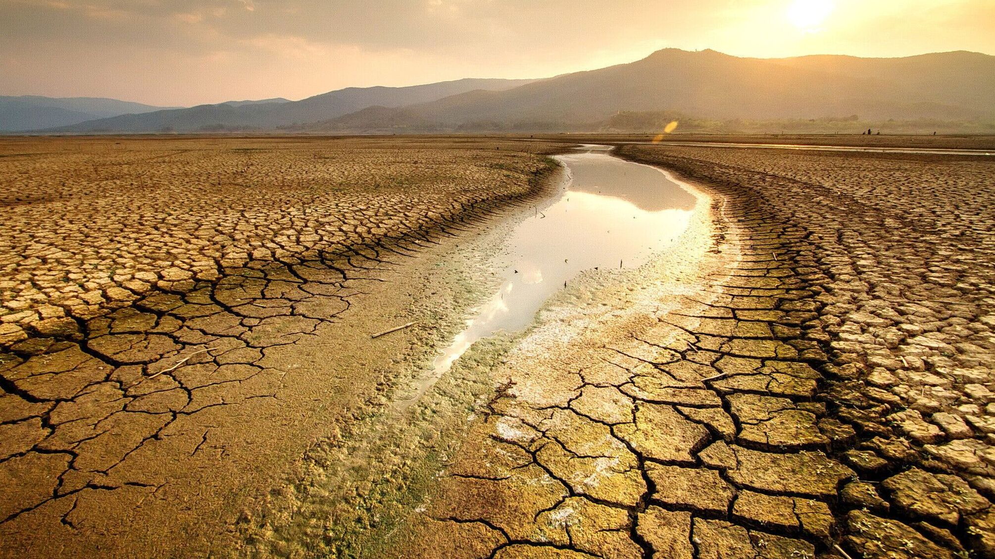 Южные регионы страны рискуют столкнуться с экстремальной жарой