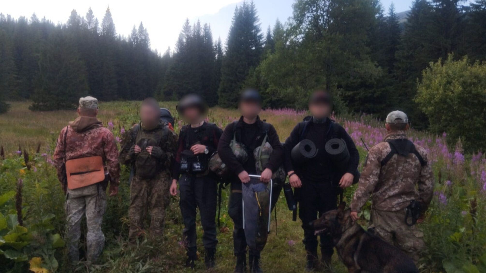 Службовий собака викрив нелегалів на українсько-румунському кордоні — подробиці затримання