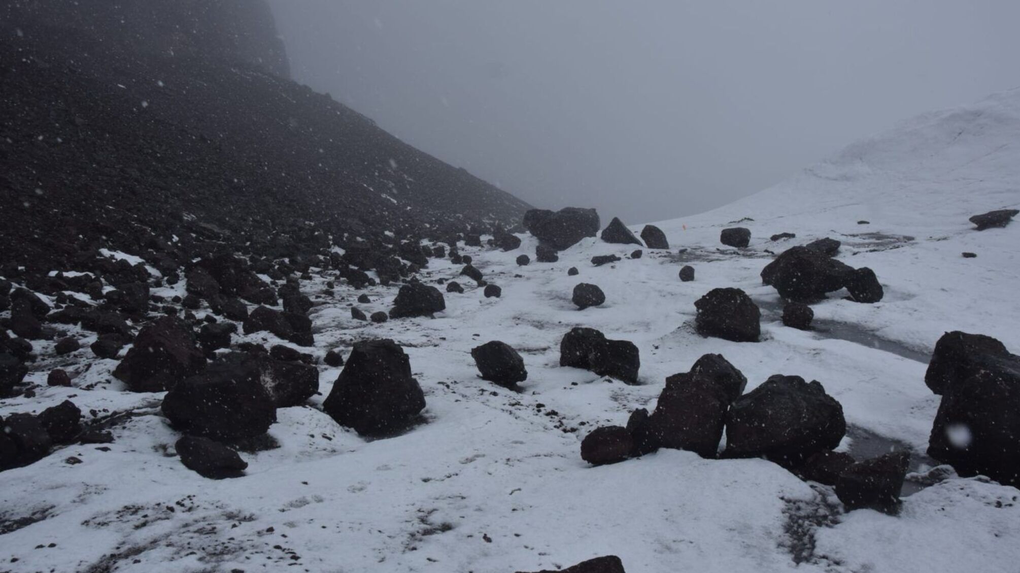 Останки Денниса Белла были найдены среди осыпи скал на переднем крае ледника Экология. Источник: Польская антарктическая станция имени Генрика Арцтовского.
