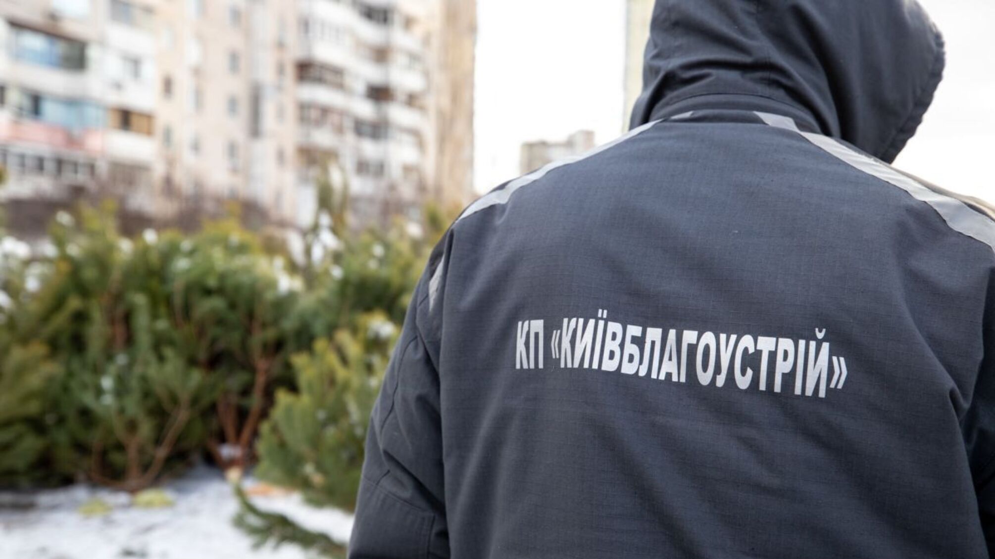 КП 'Київблагоустрій' маніпулює ситуацією з виданням 'контрольних карток'?