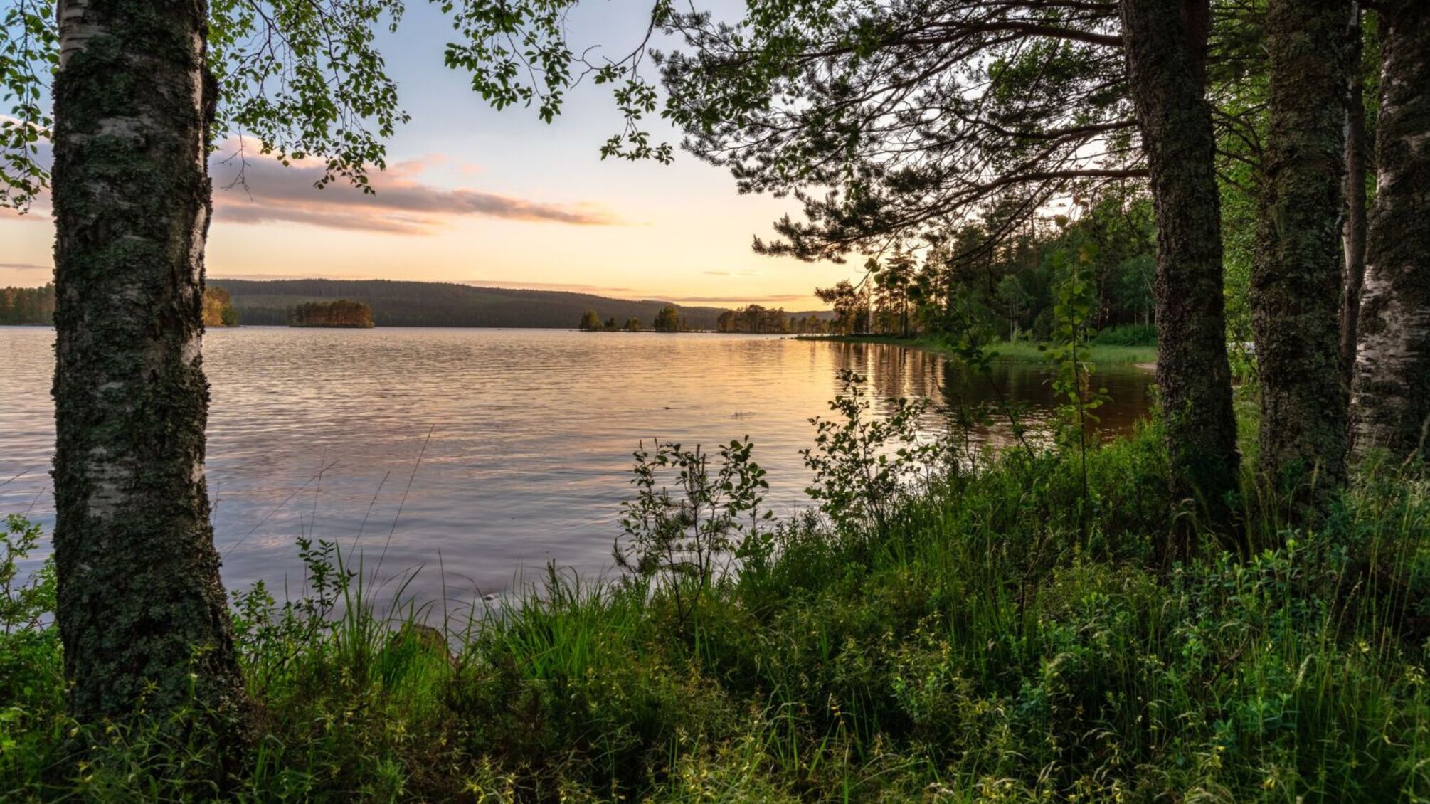 Кого вітають з днем янгола 18 серпня: імена і значення свята