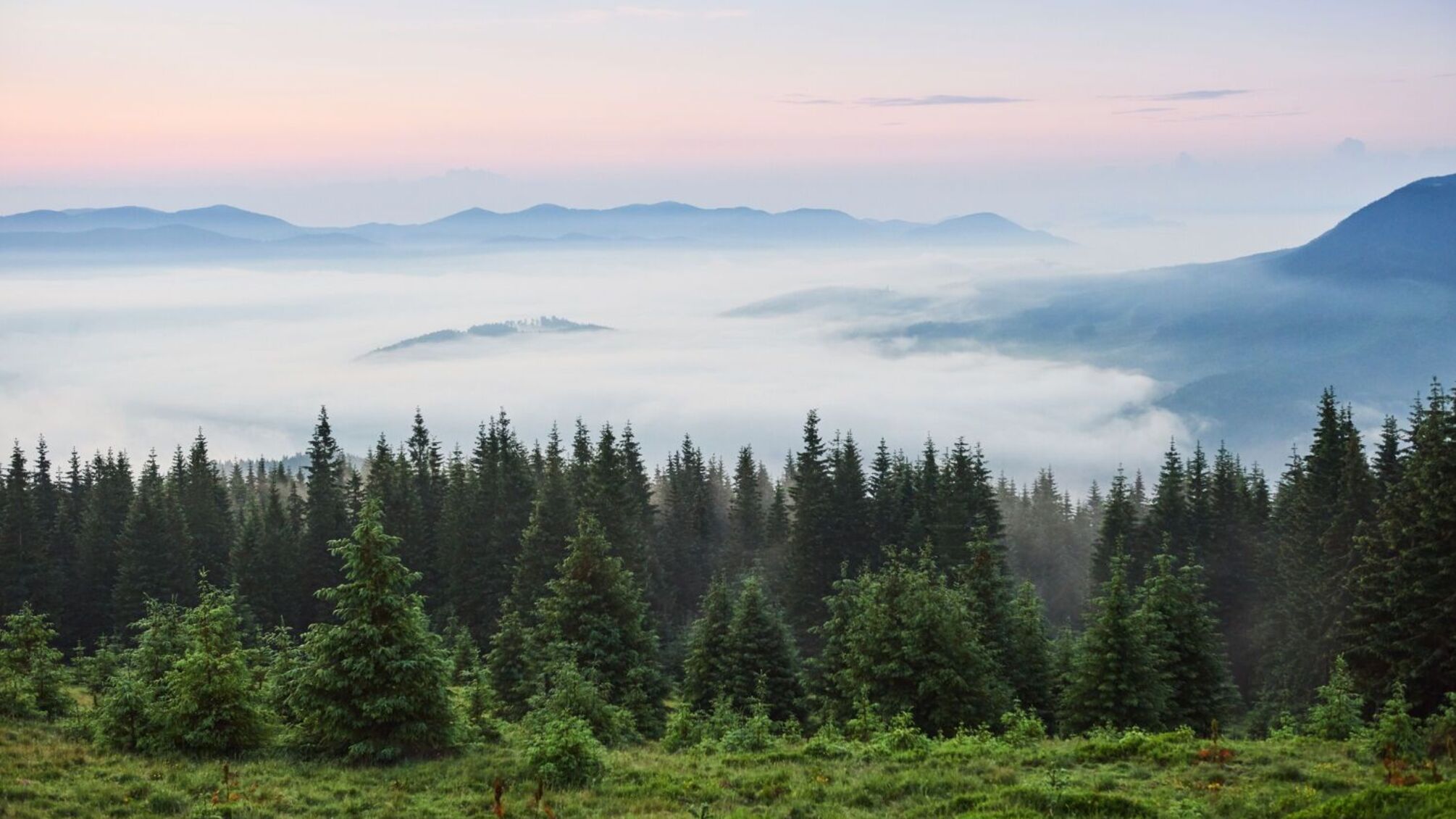 Именины 19 августа: кого приветствовать